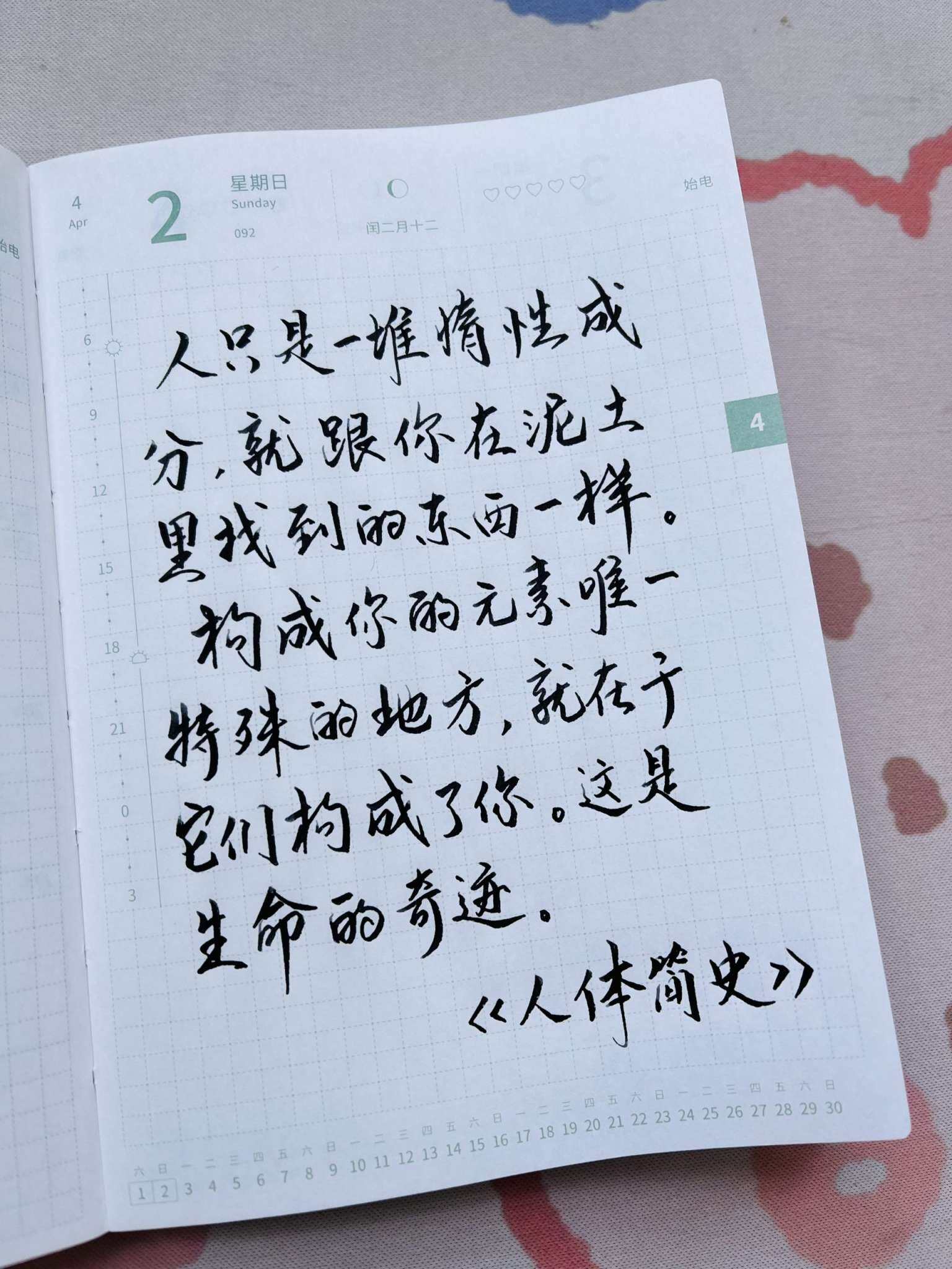 自在手帐2023年4月2日