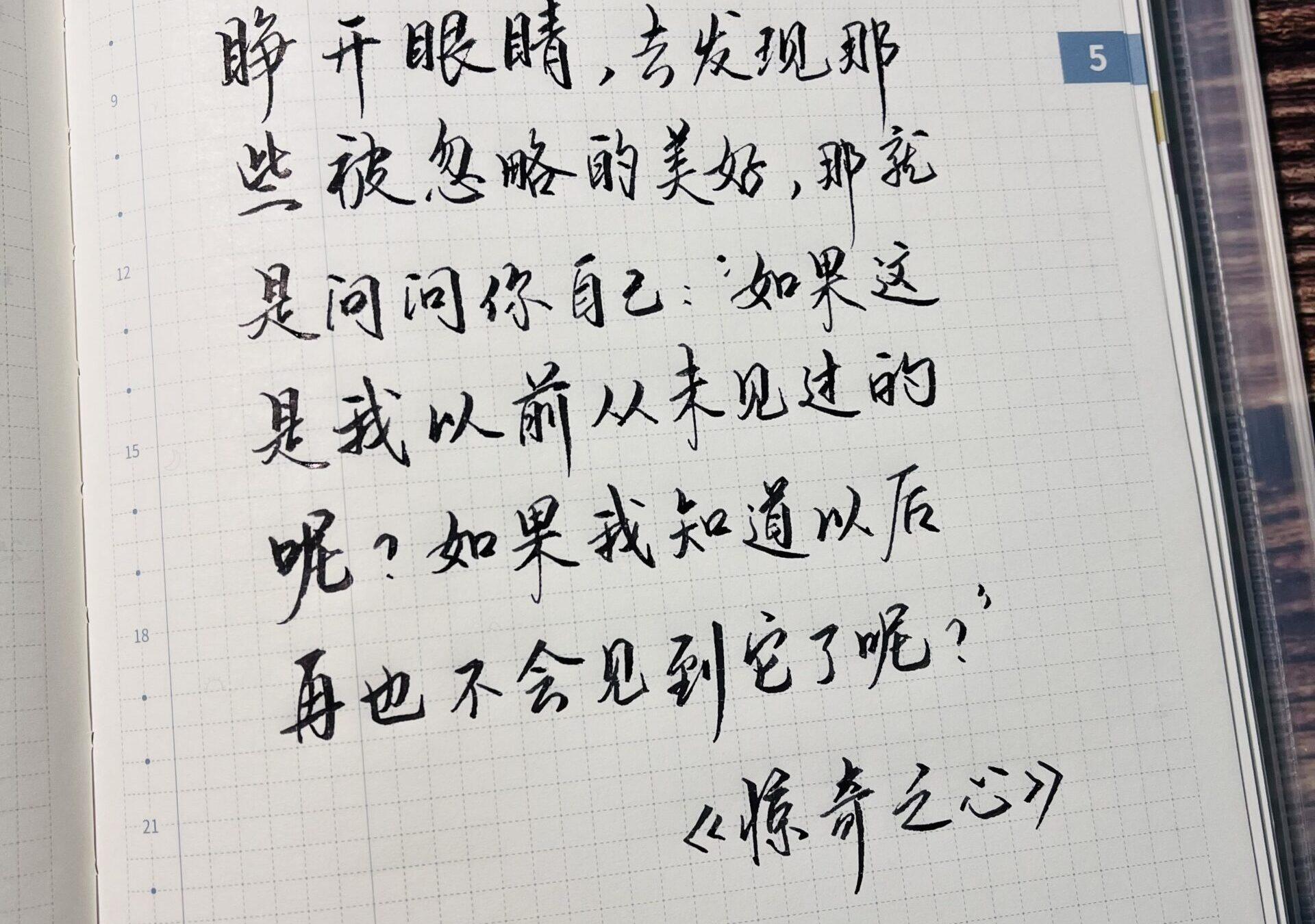 发现那些被忽略的美好