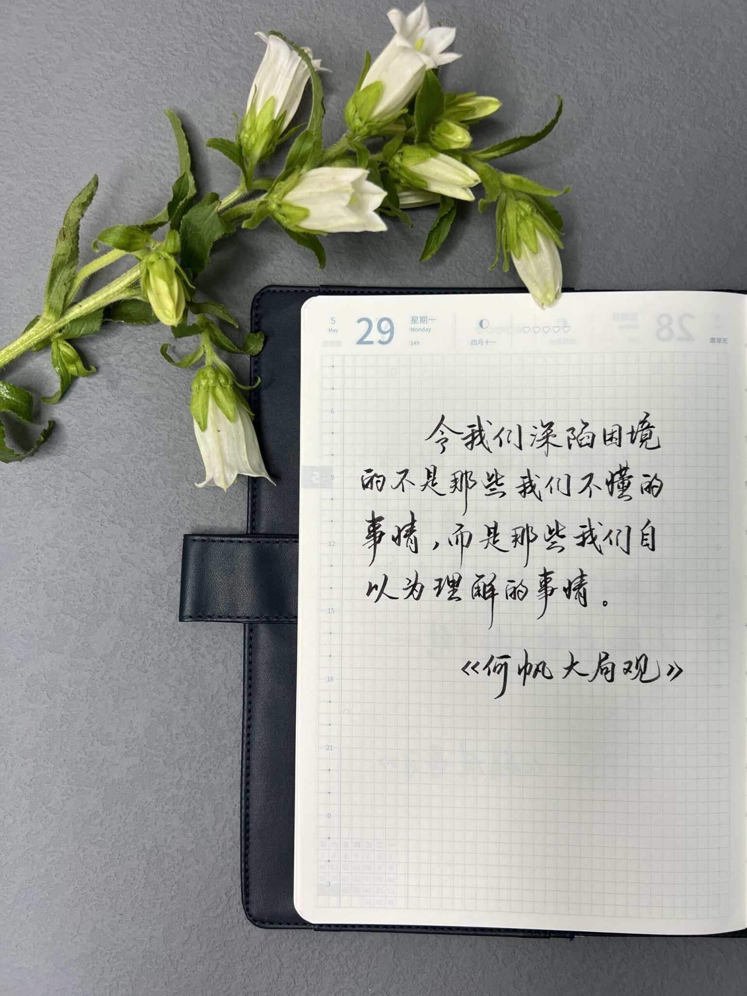 自在手帐2023年5月29日