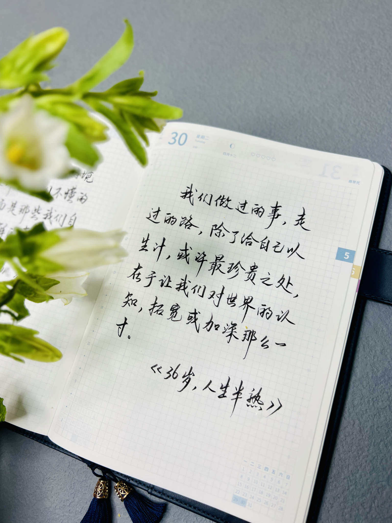 自在手帐2023年5月30日