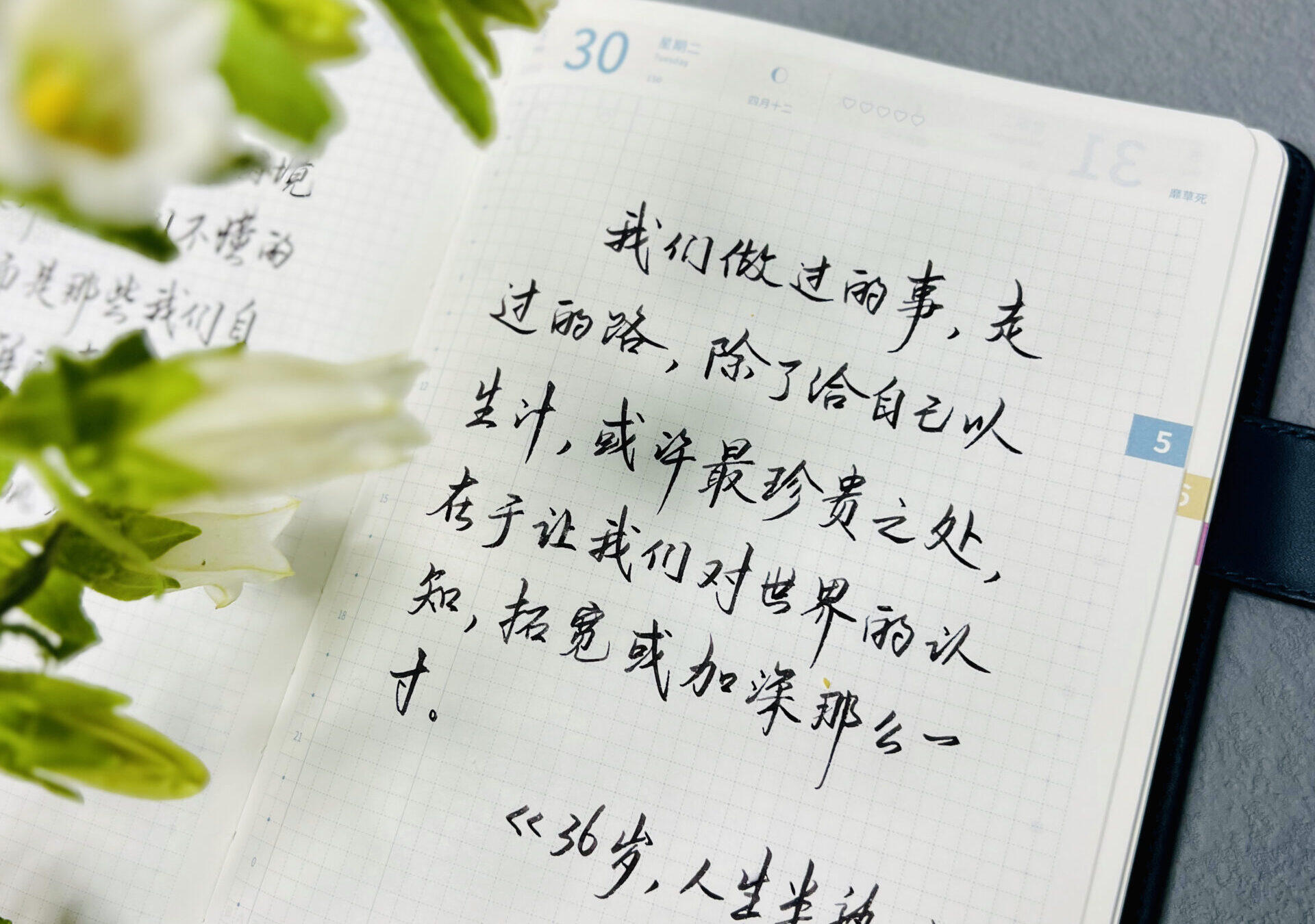 36岁，人生半熟