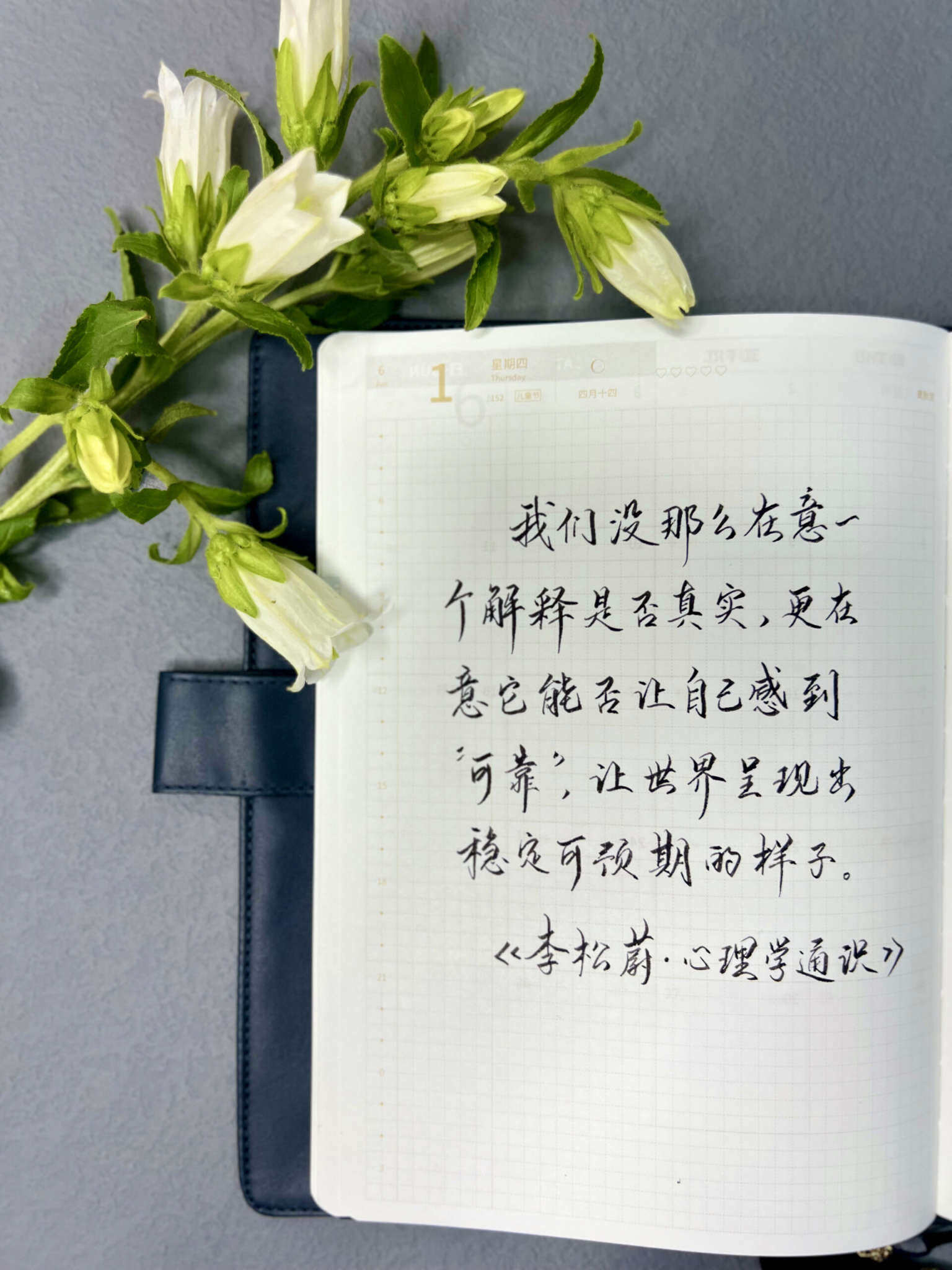 自在手帐2023年6月1日