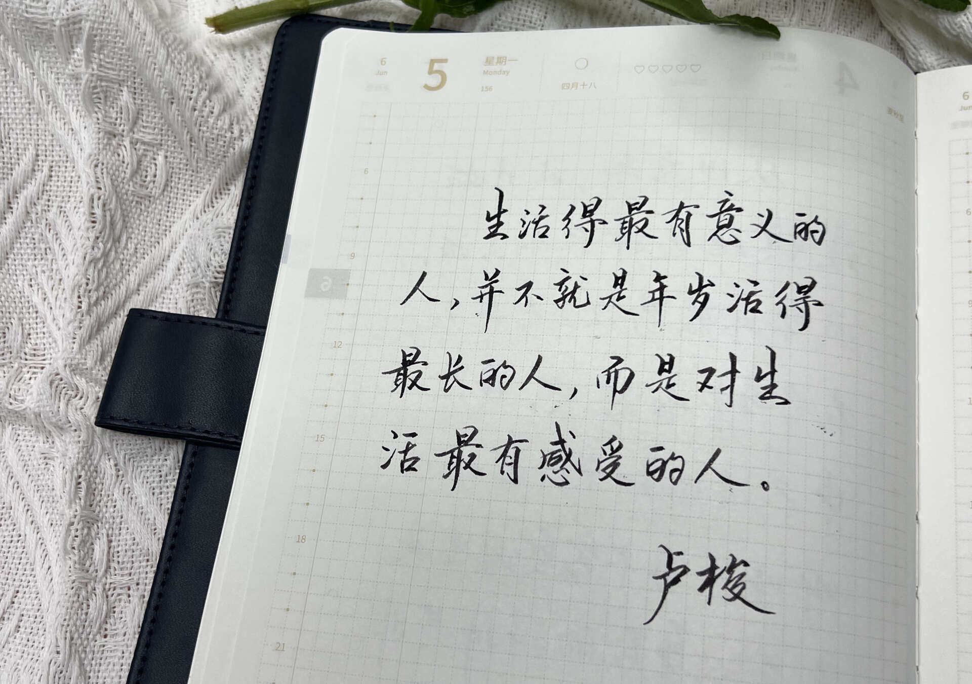 自在手帐2023年6月5日