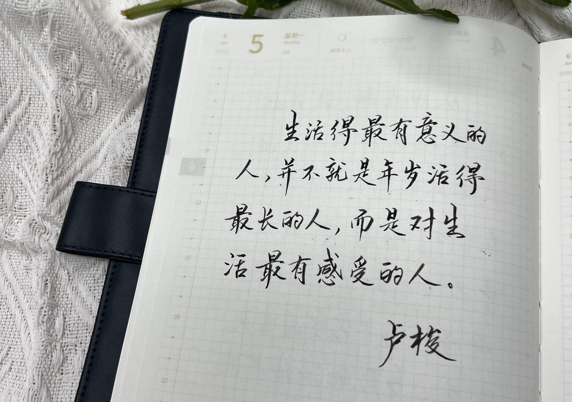 自在手帐2023年6月5日