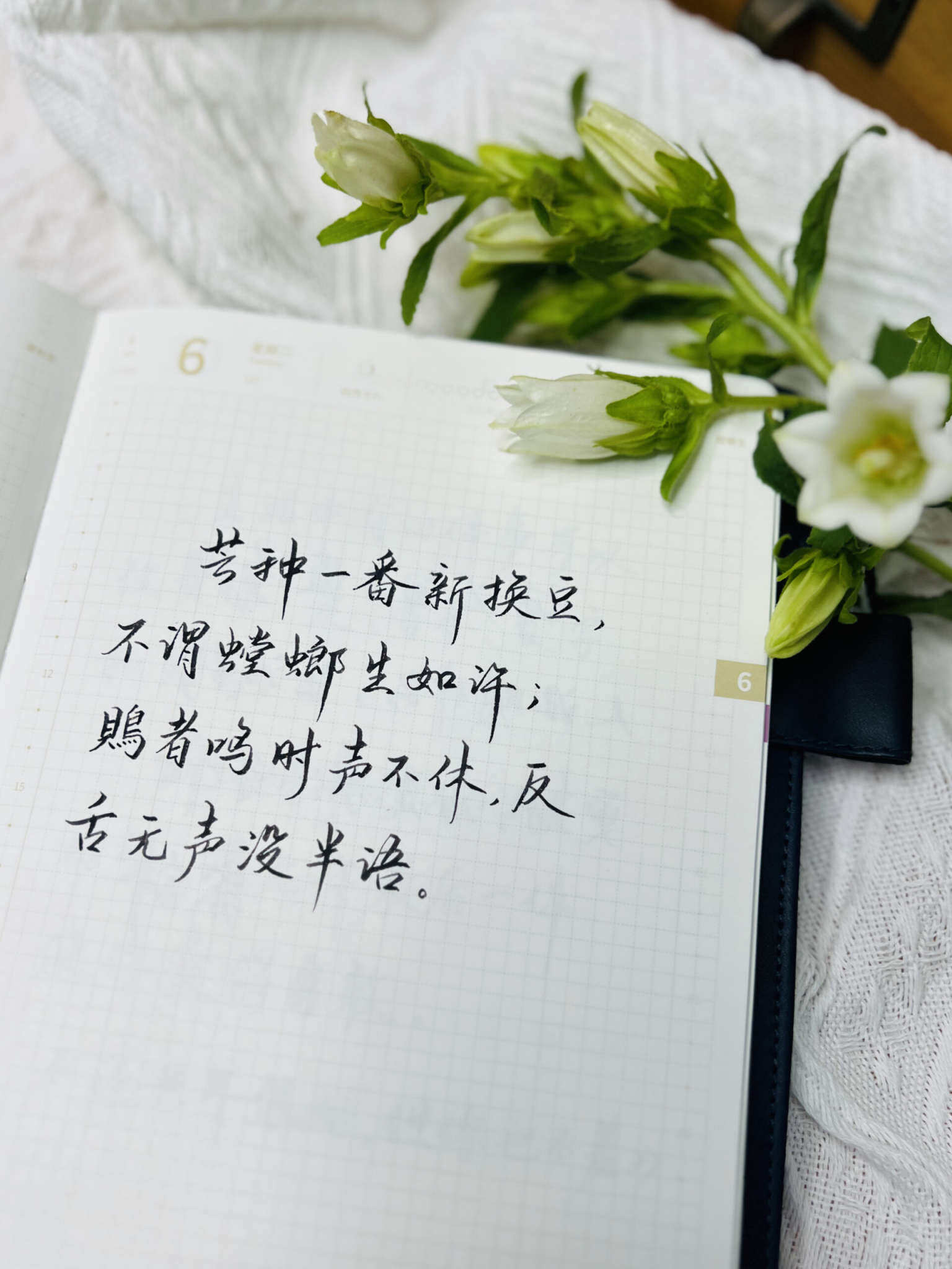 自在手帐2023年6月6日