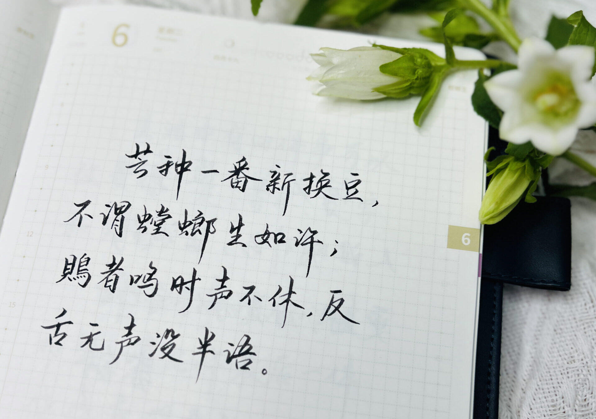 芒种|二十四节气|癸卯年