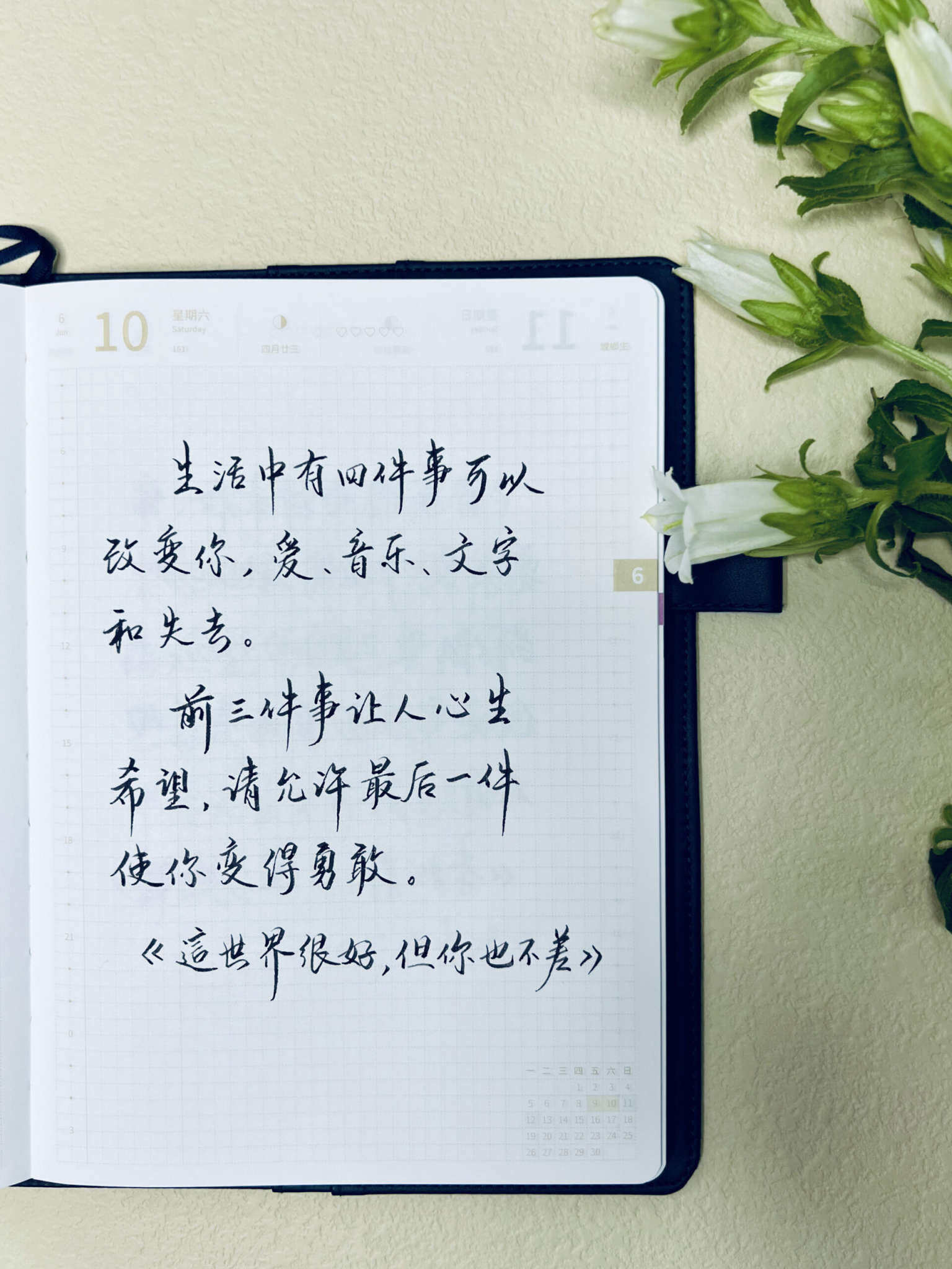 自在手帐2023年6月10日