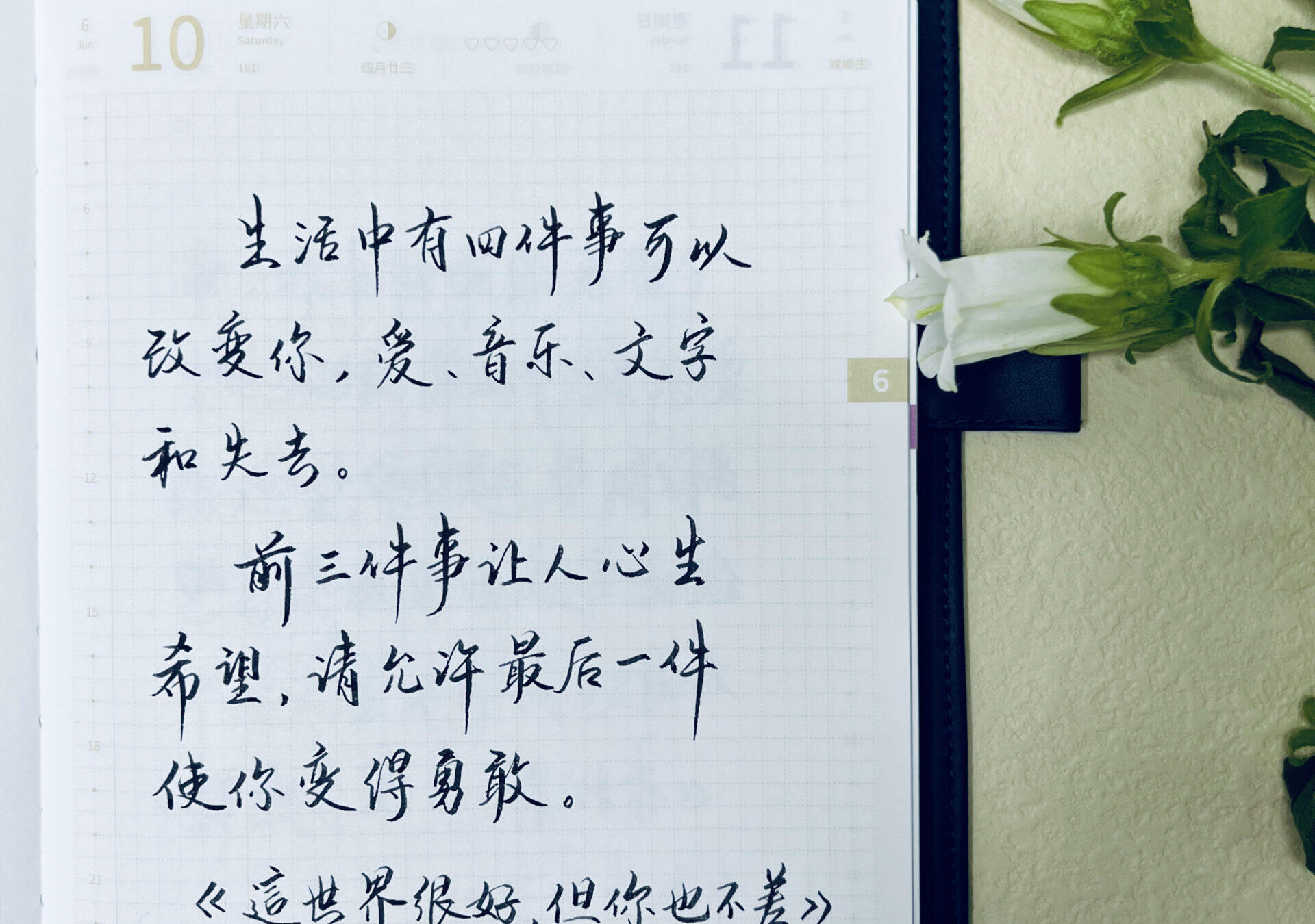 爱、音乐、文字和失去