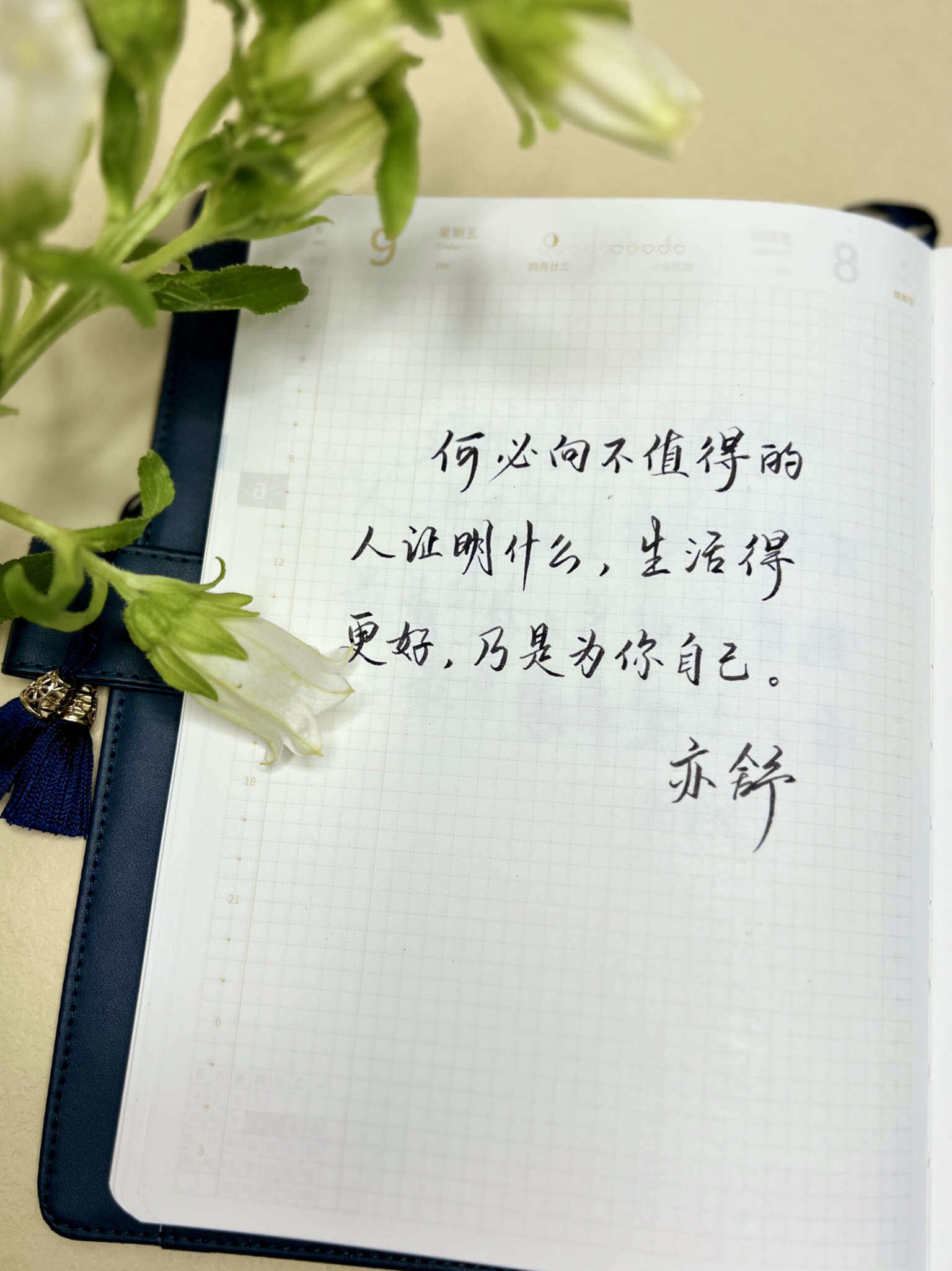 自在手帐2023年6月9日