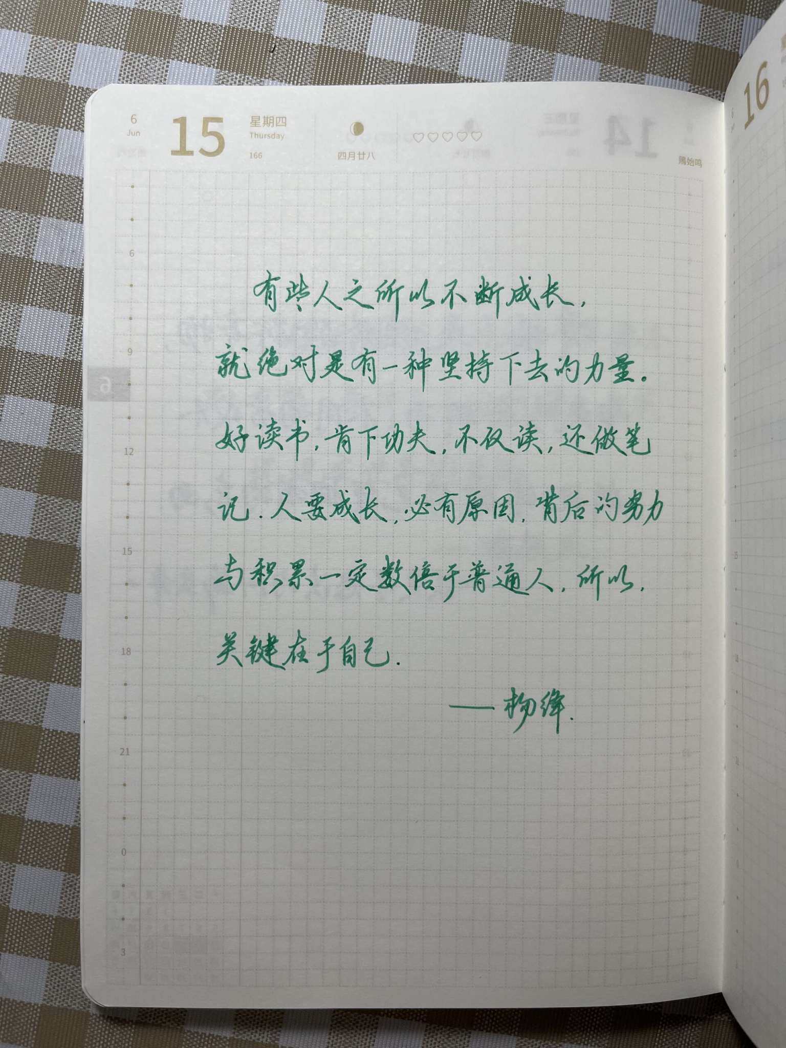 自在手帐2023年6月15日