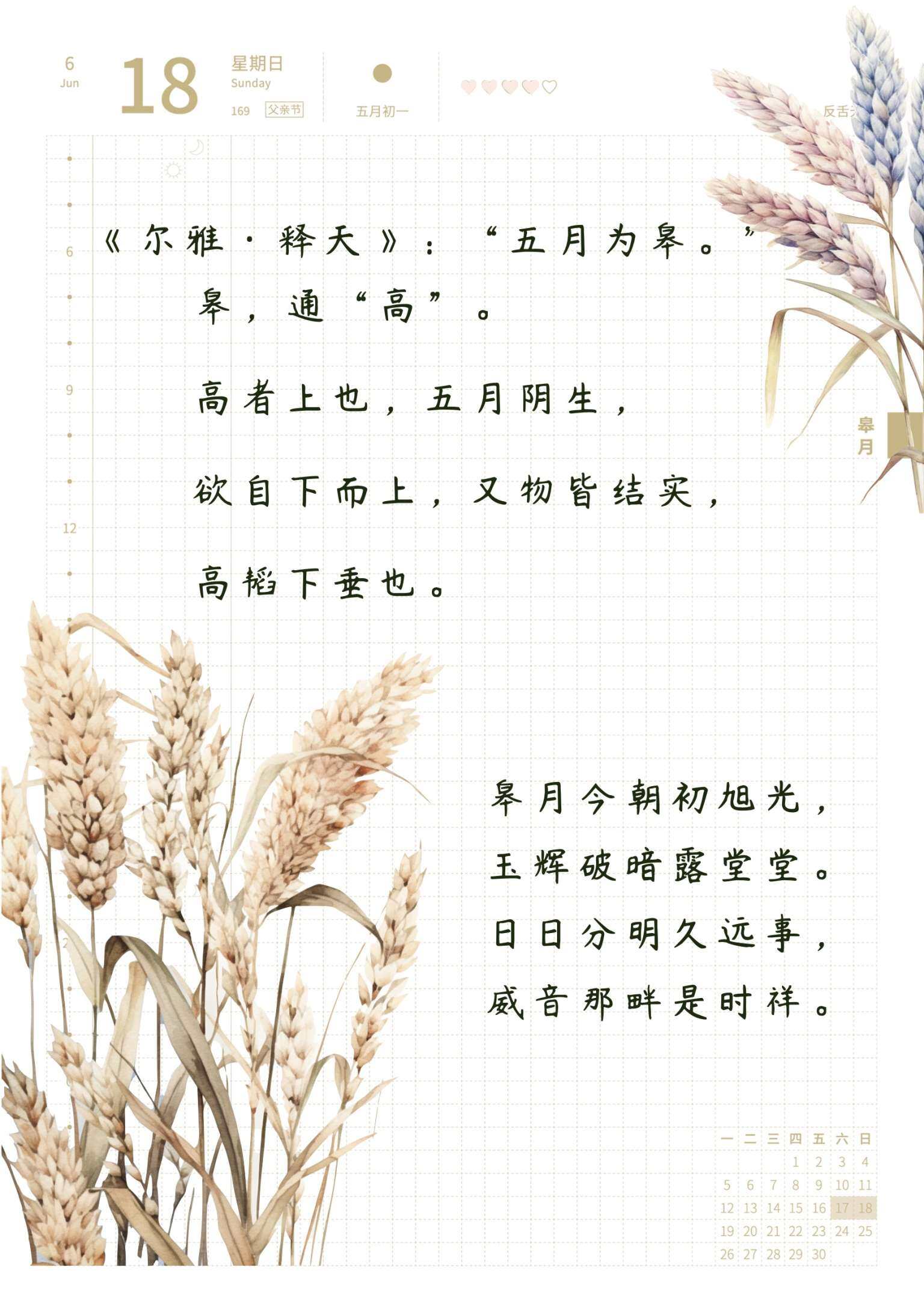 自在手帐2023年6月18日