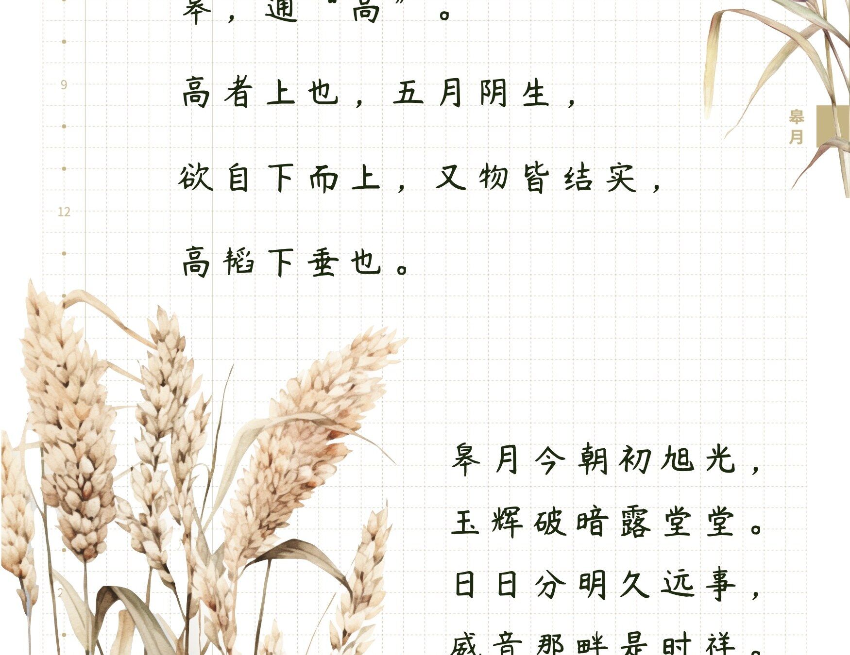 【中国月名】农历五月——皋月