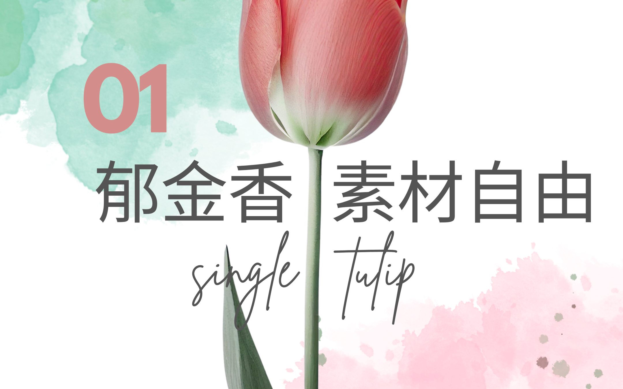 自在独家素材分享01