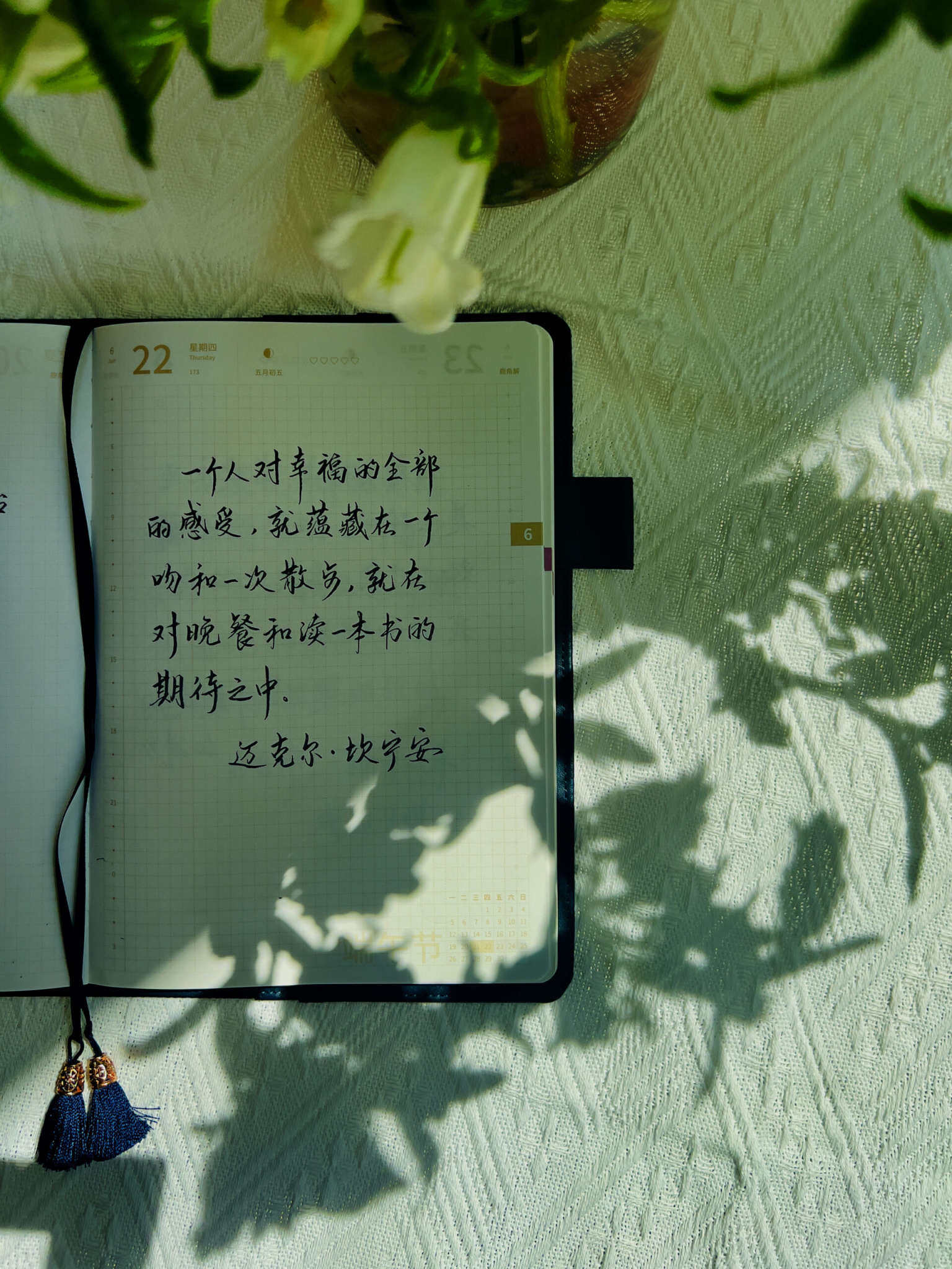 自在手帐2023年6月22日