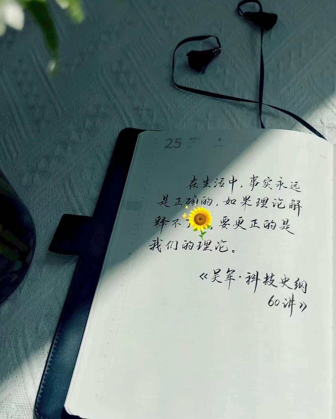 自在手帐2023年6月25日