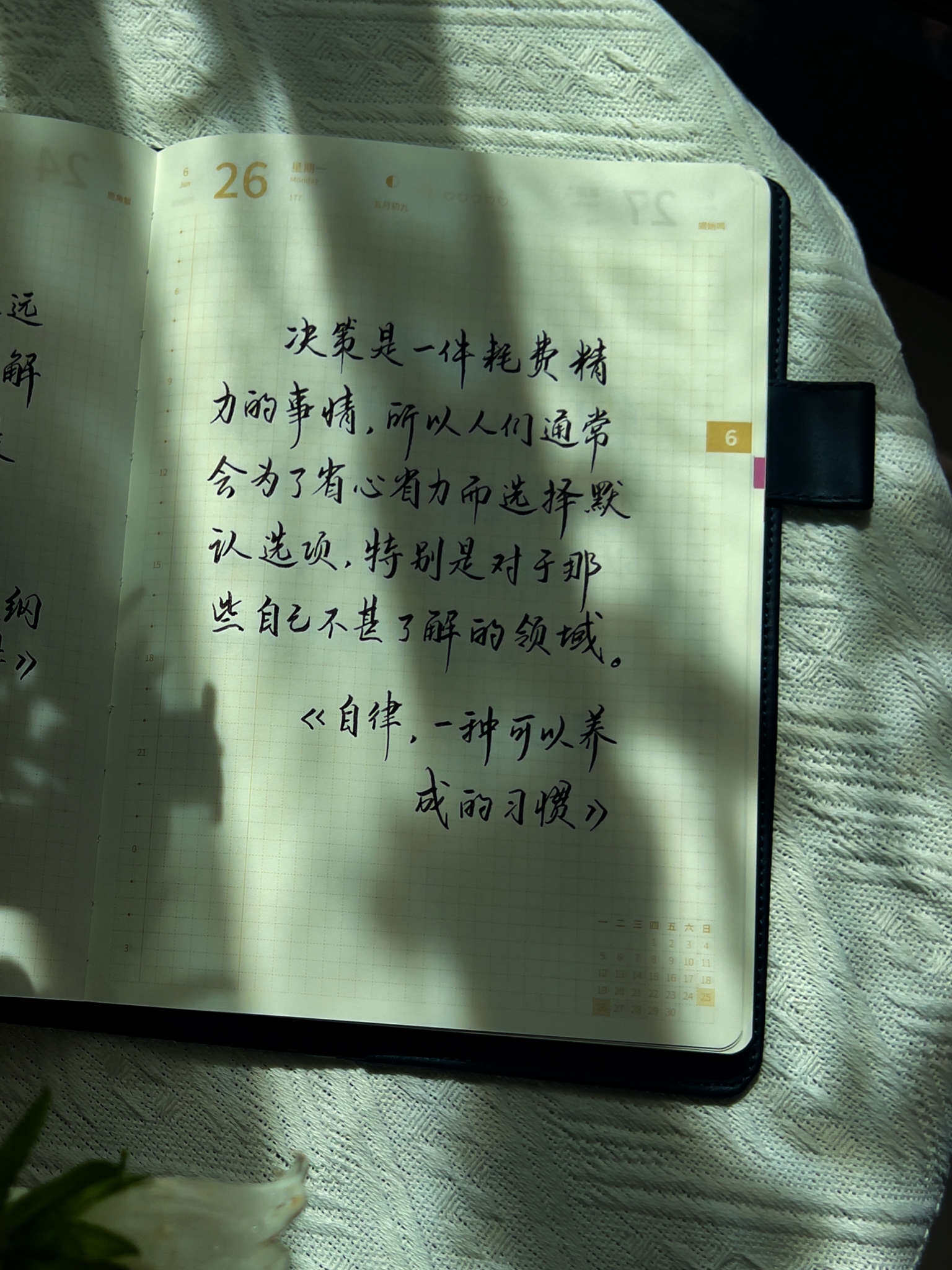 自在手帐2023年6月26日