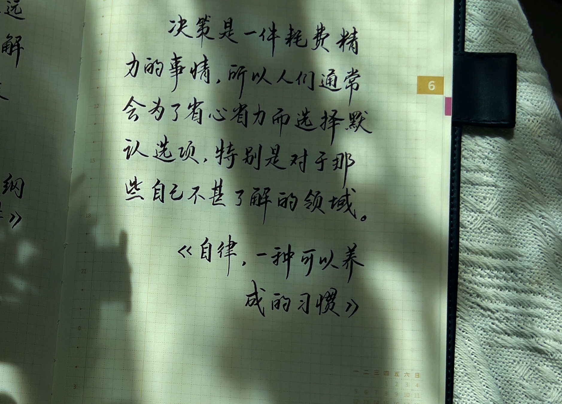 自在手帐2023年6月26日