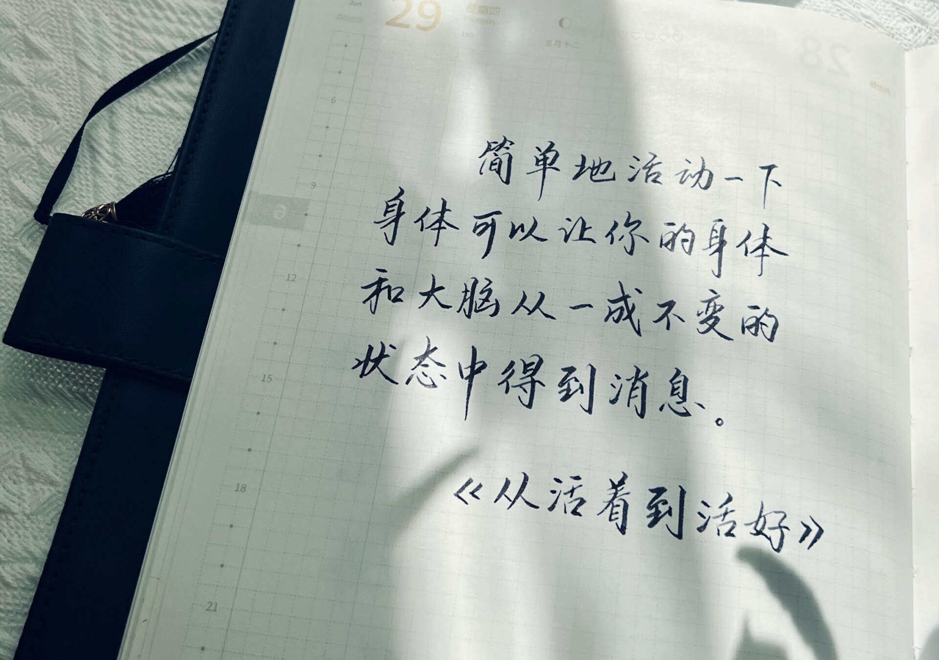 自在手帐2023年6月29日