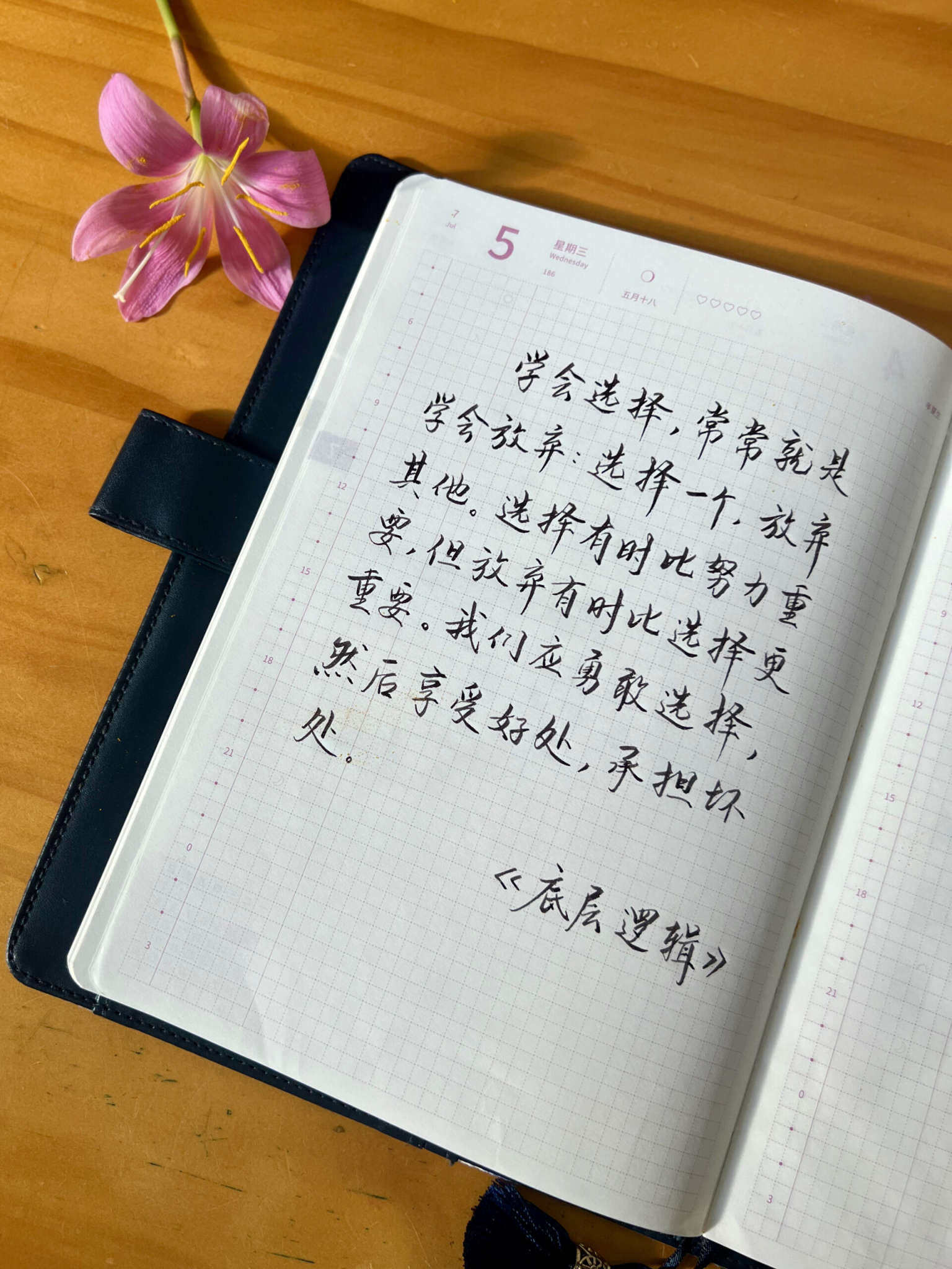 自在手帐2023年7月5日