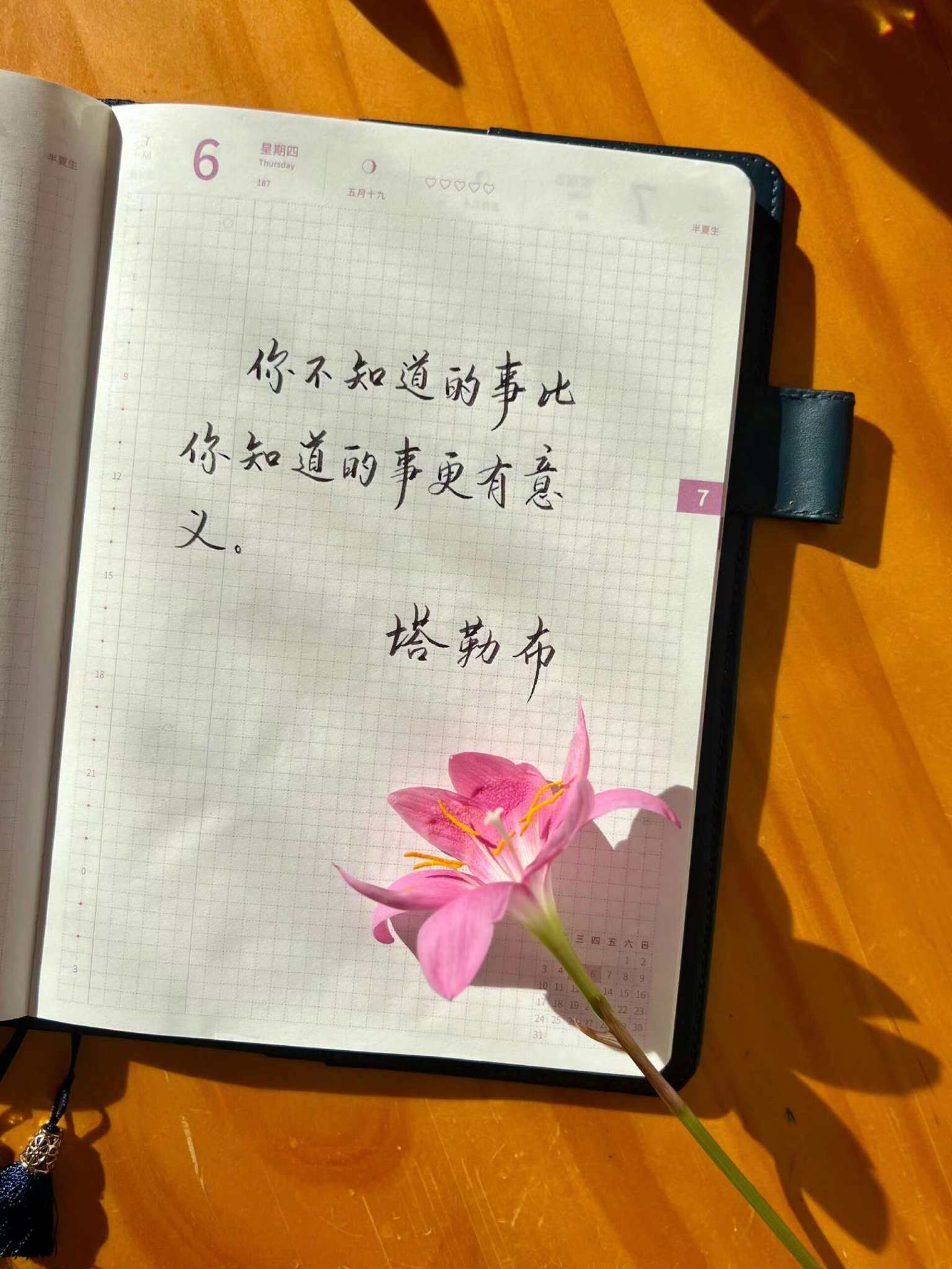 自在手帐2023年7月6日