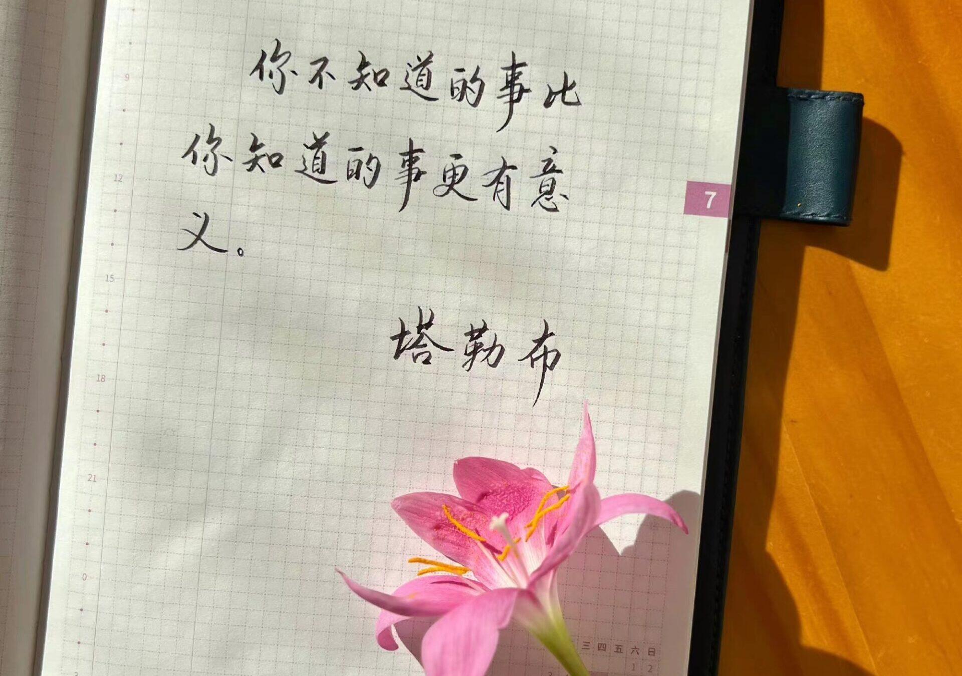 自在手帐2023年7月6日