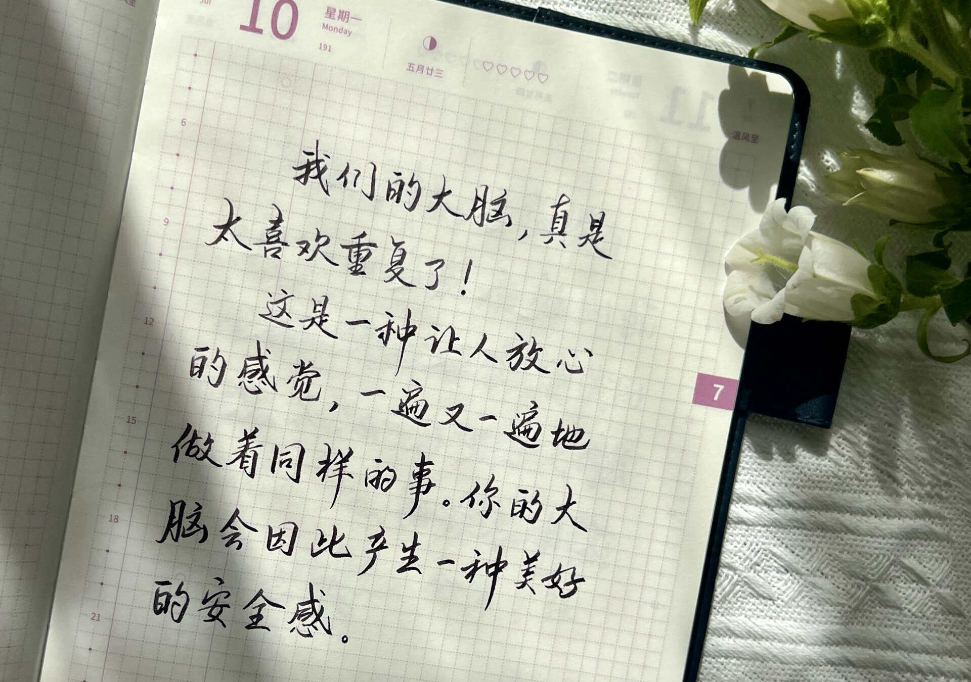 自在手帐2023年7月10日