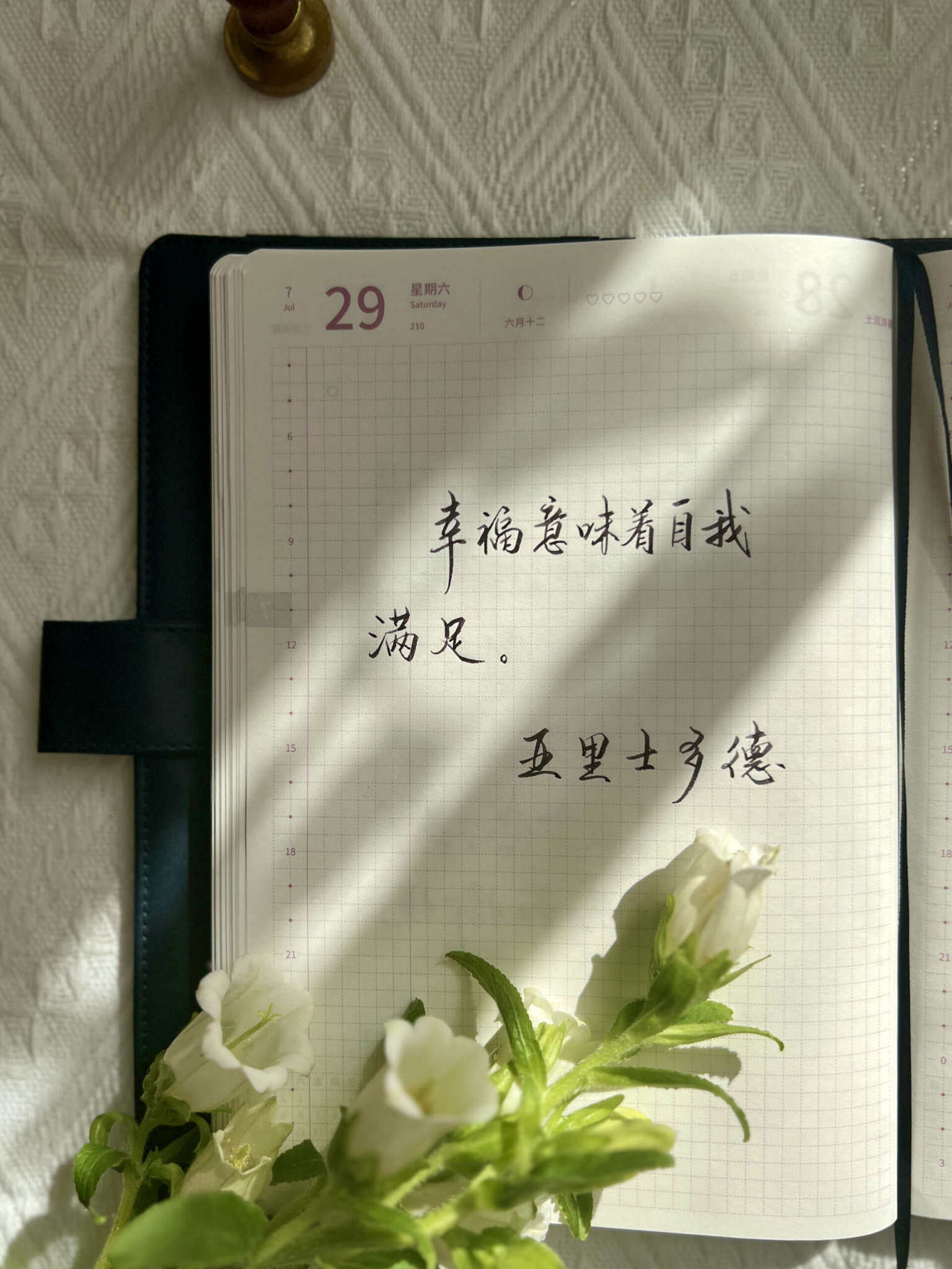 自在手帐2023年7月29日
