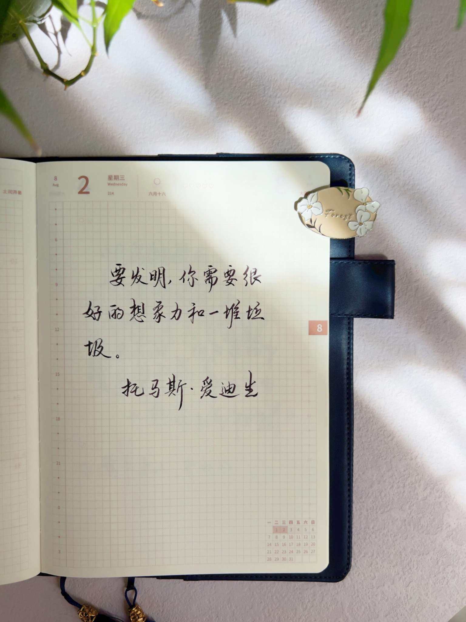 自在手帐2023年8月2日