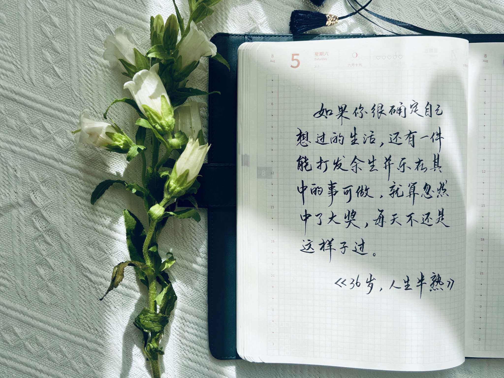 自在手帐2023年8月5日