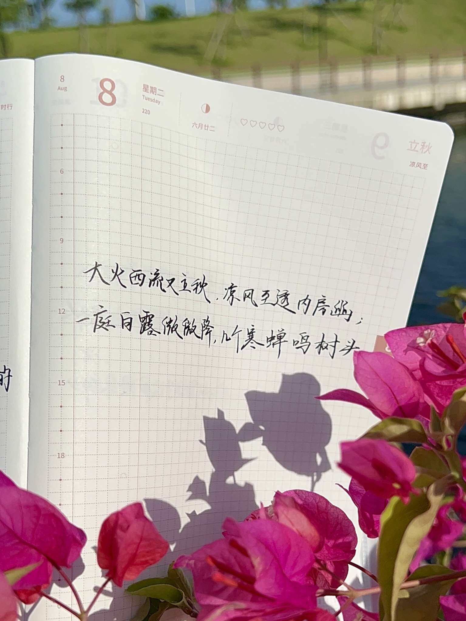 自在手帐2023年8月8日