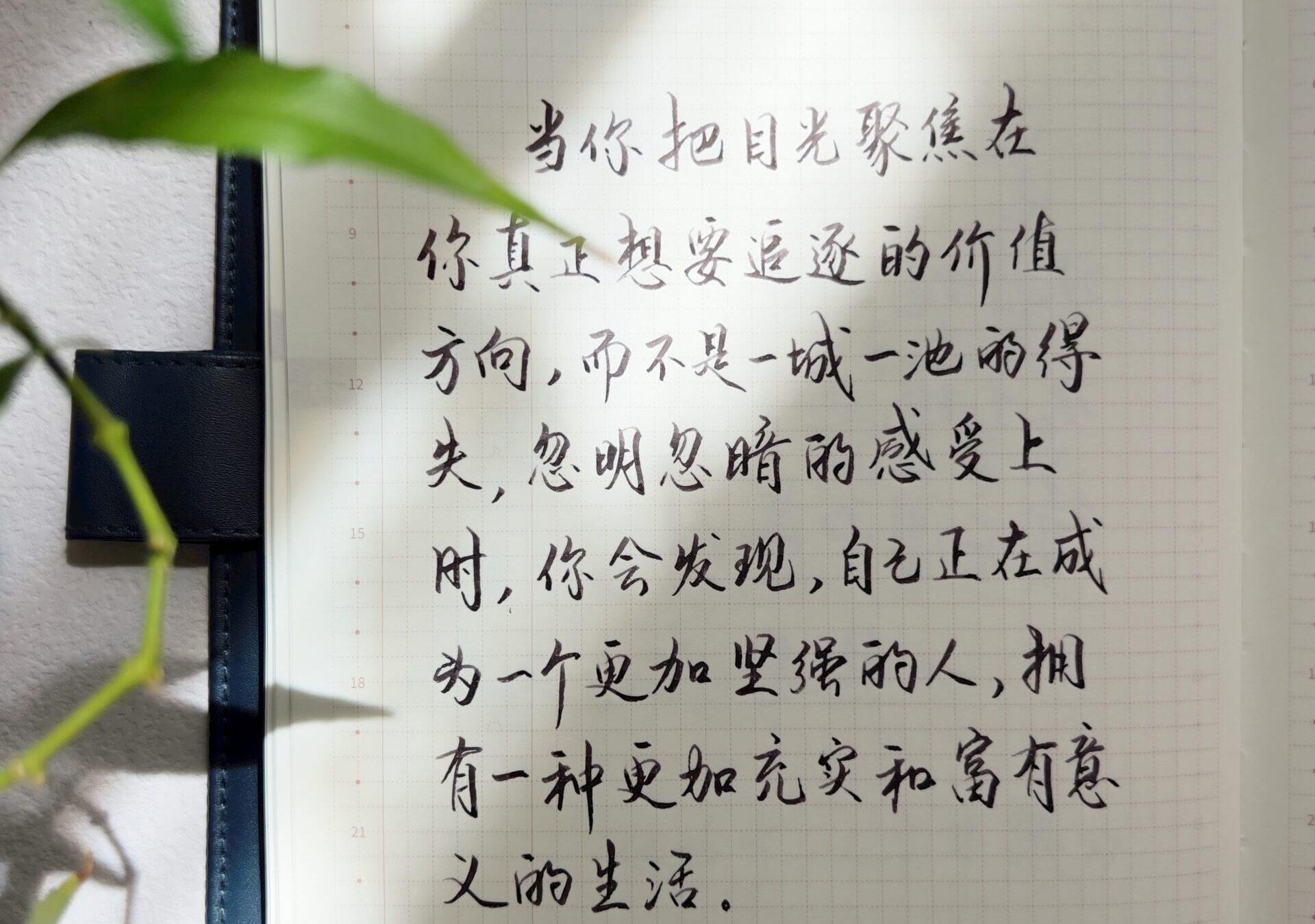 把目光聚焦在真正想要追逐的