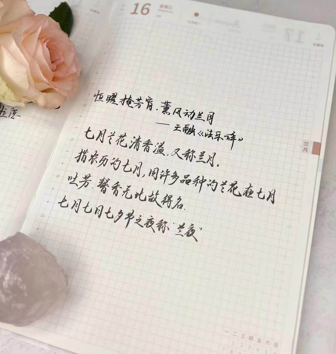 自在手帐2023年8月16日