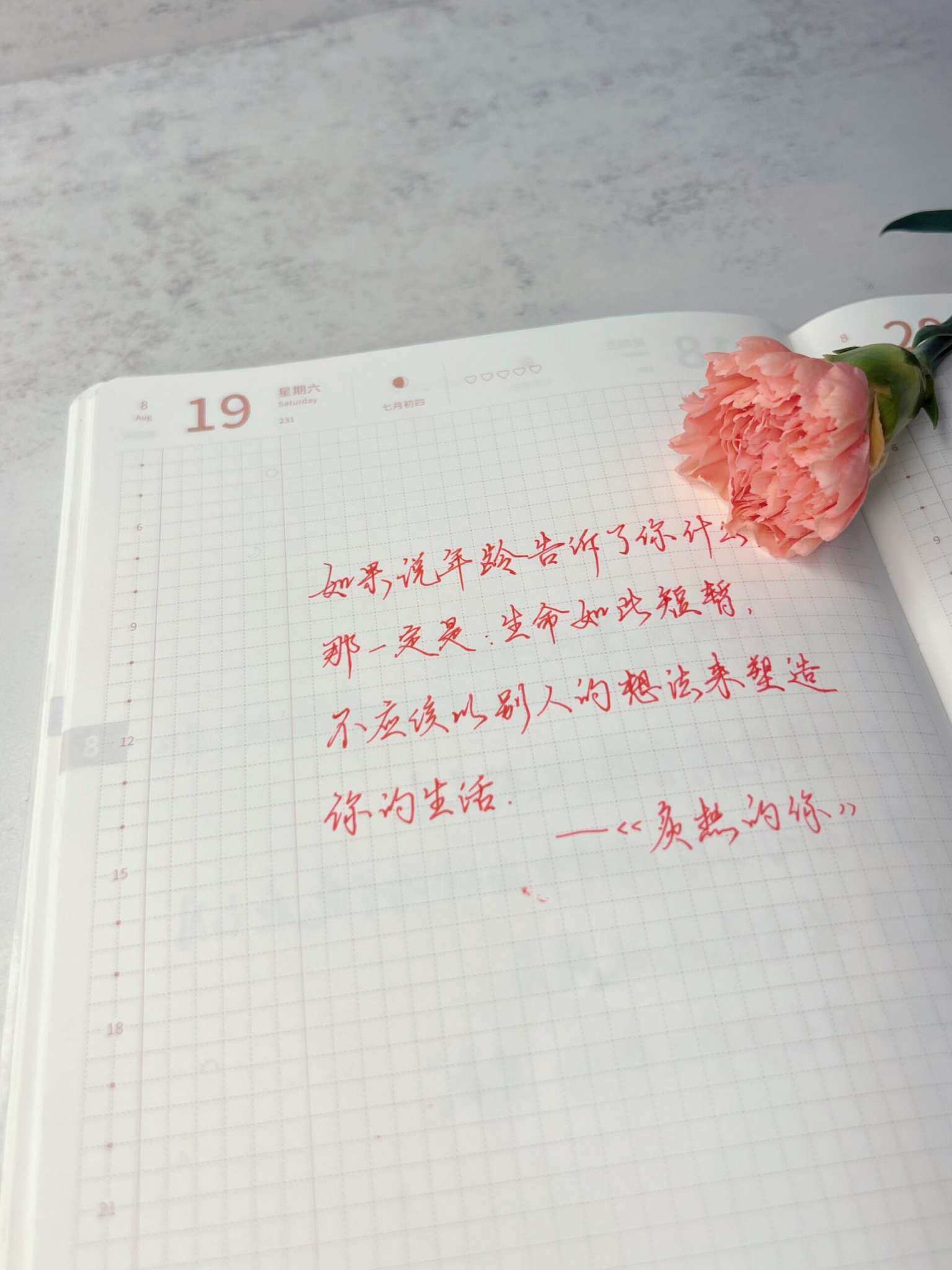 自在手帐2023年8月19日