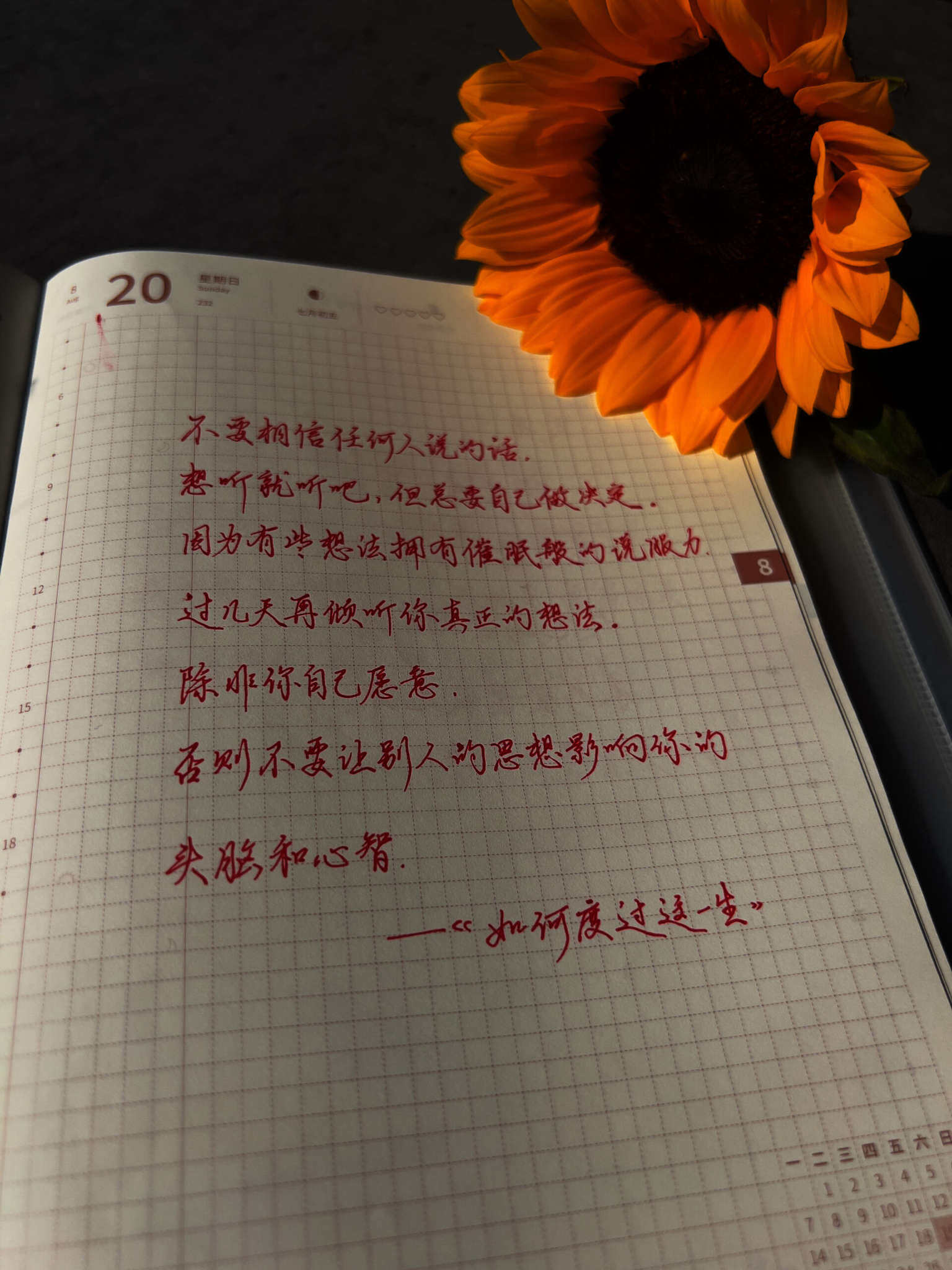 自在手帐2023年8月20日