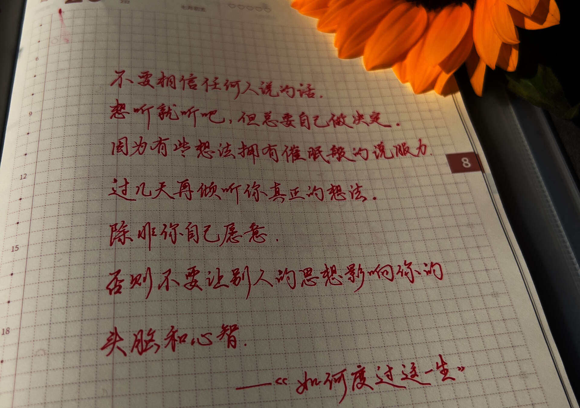 不要相信任何人说的话