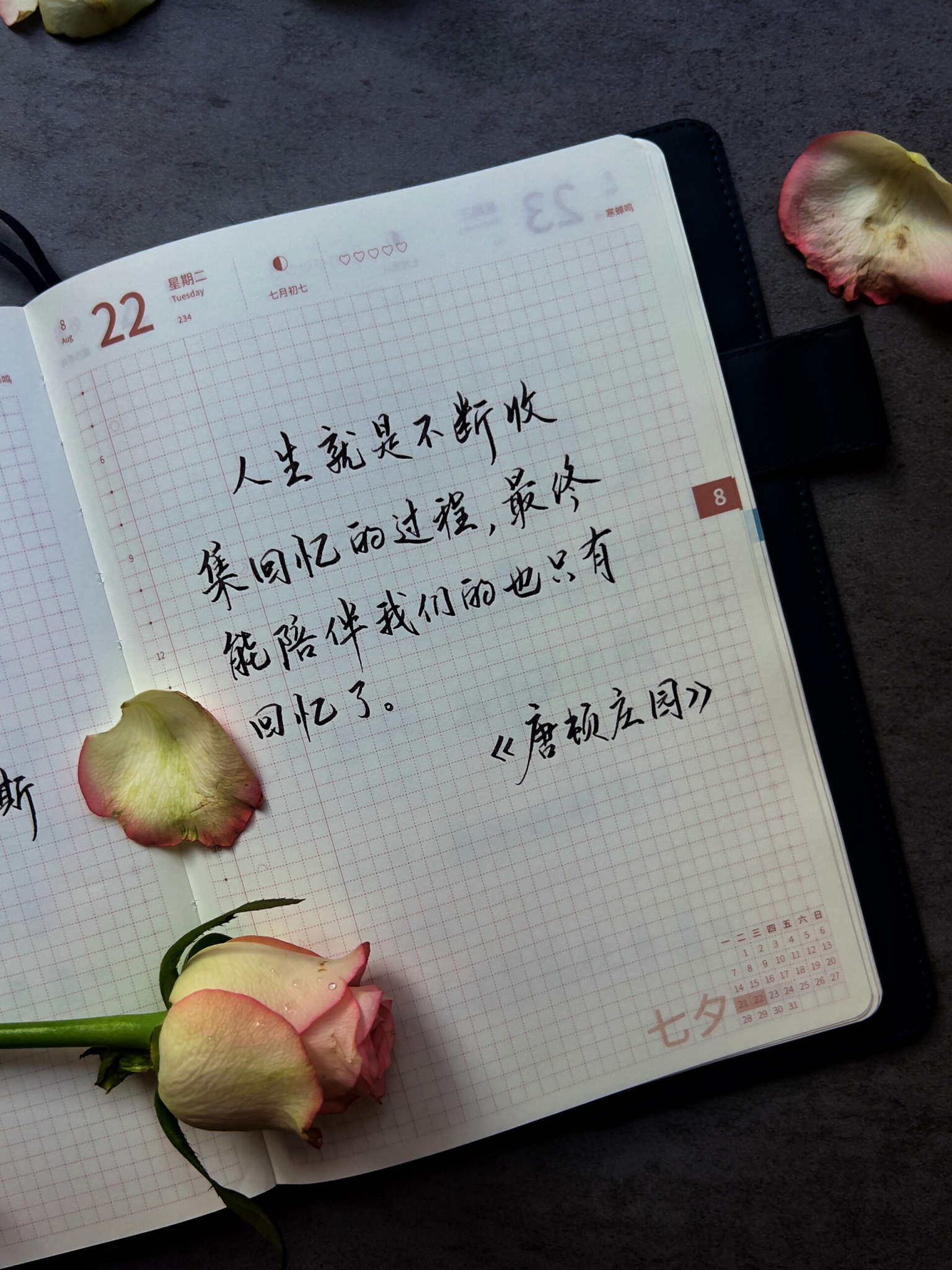 自在手帐2023年8月22日