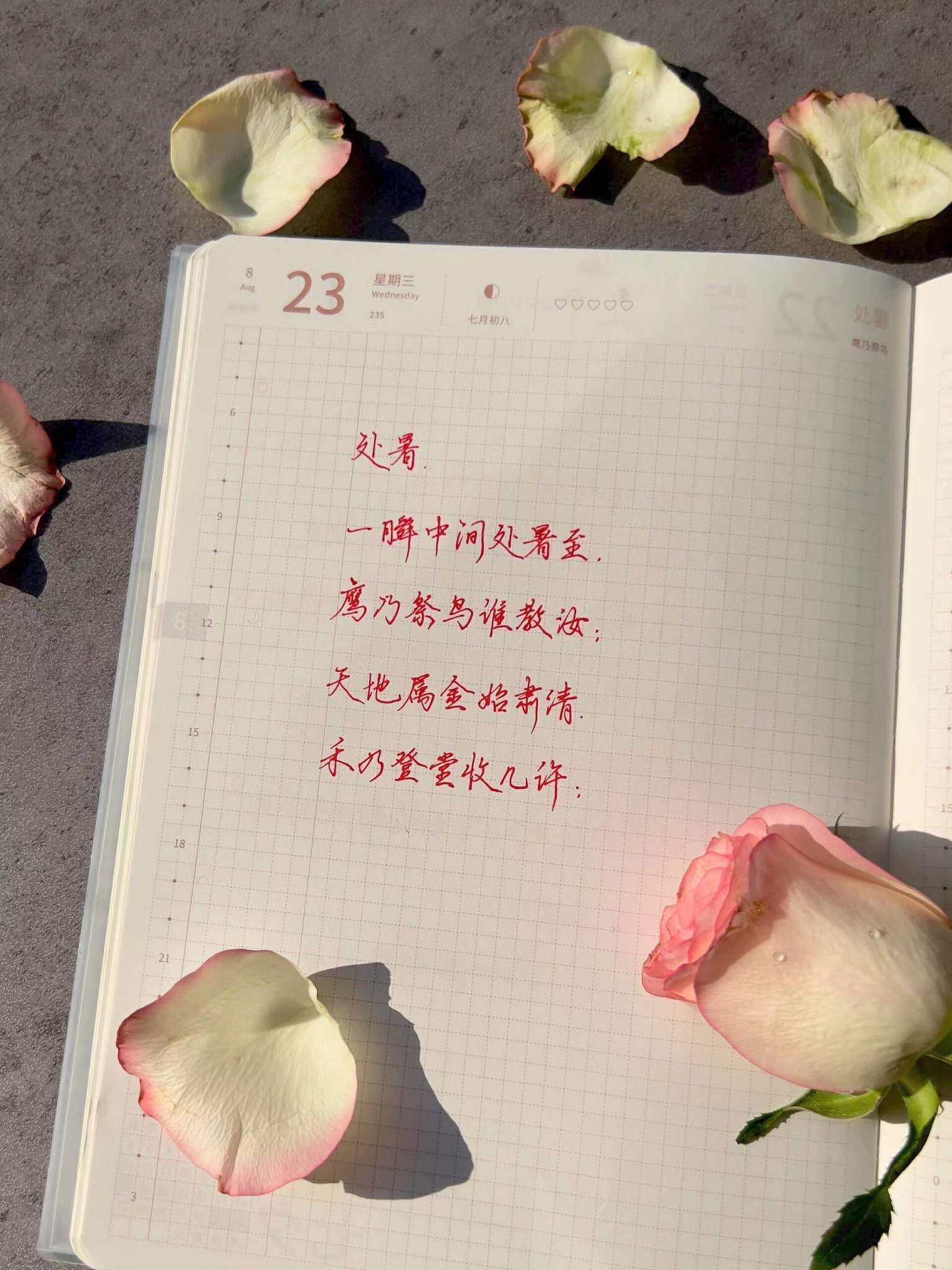自在手帐2023年8月23日