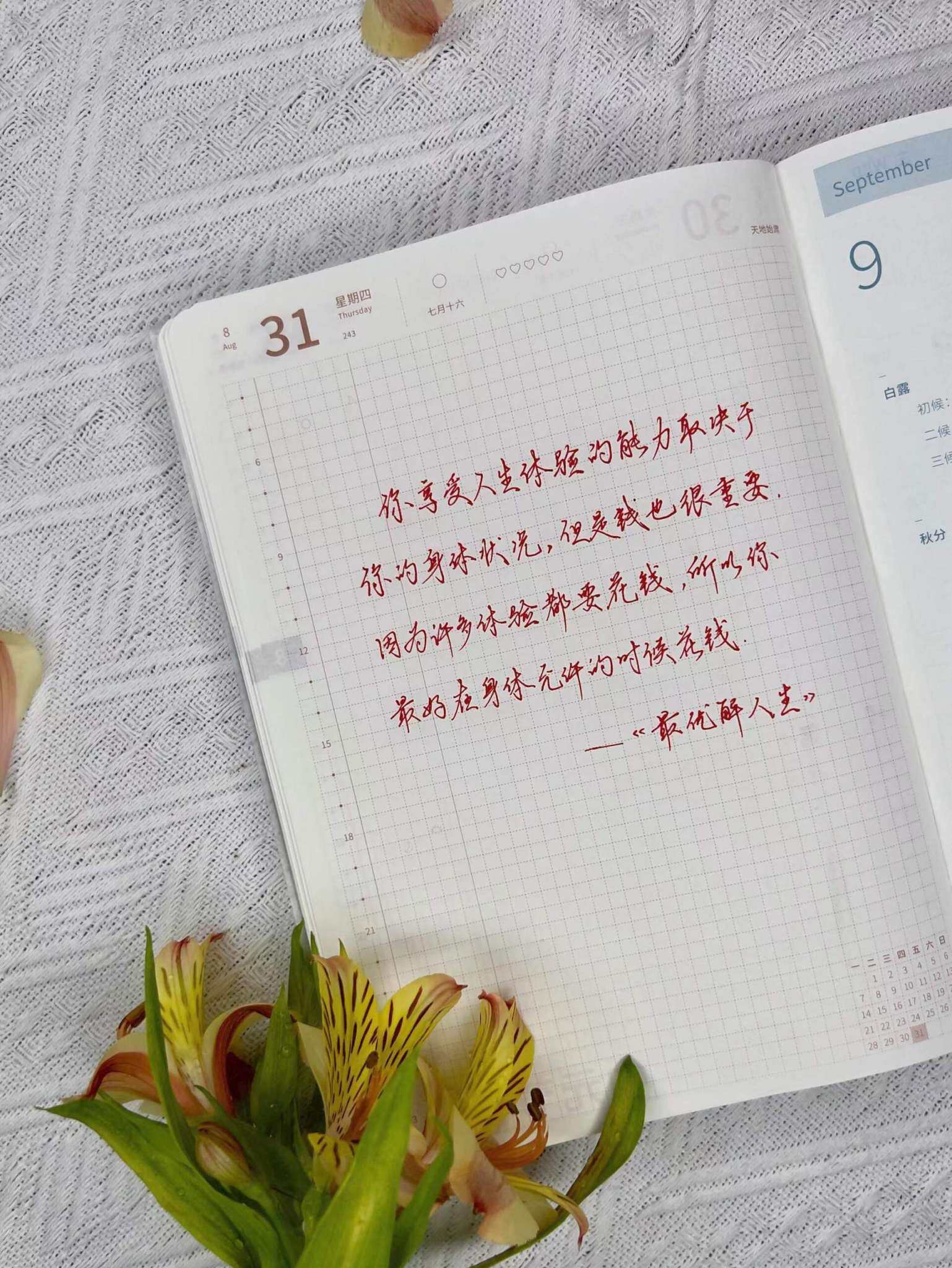 自在手帐2023年8月31日