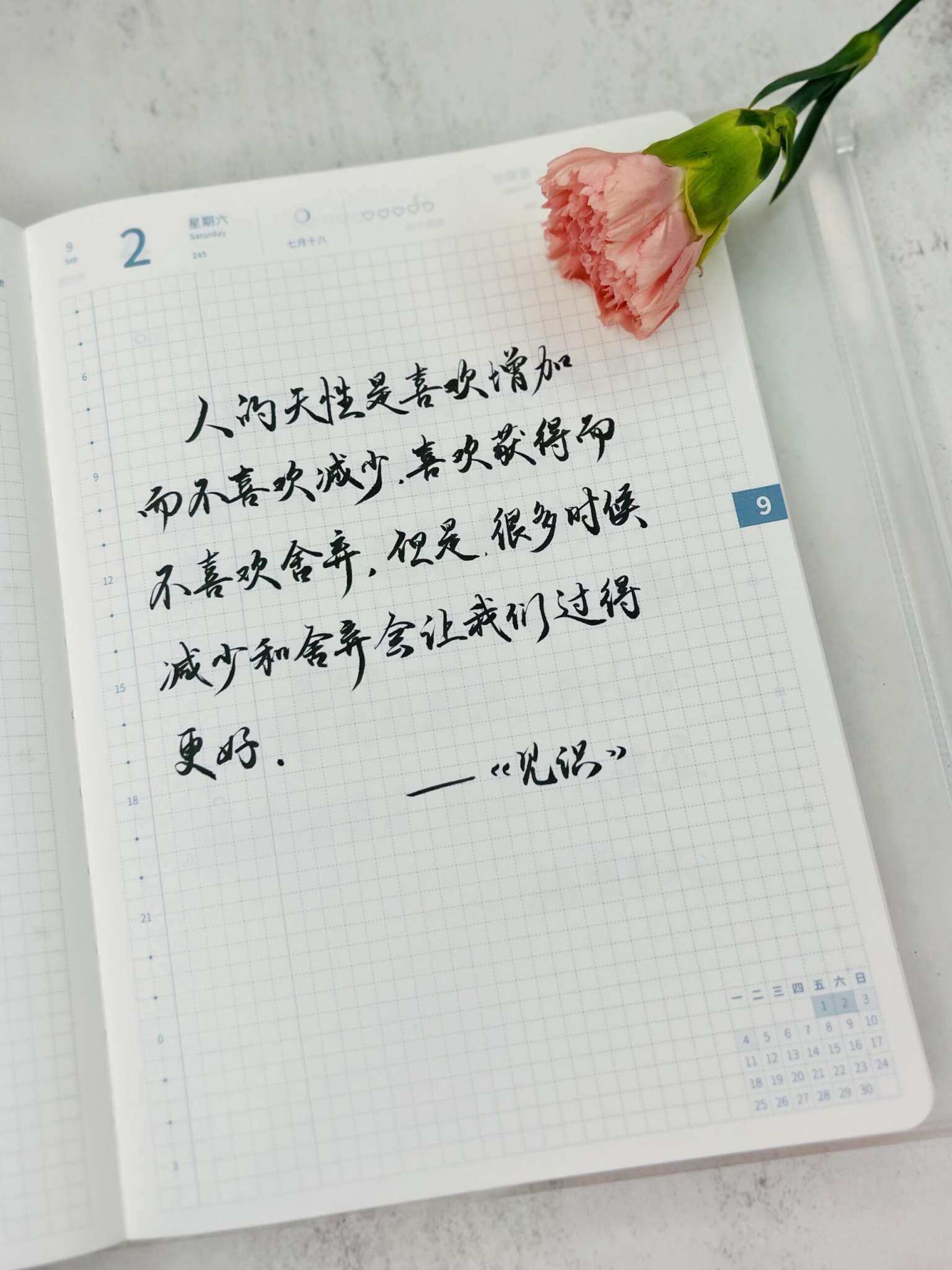 自在手帐2023年9月2日
