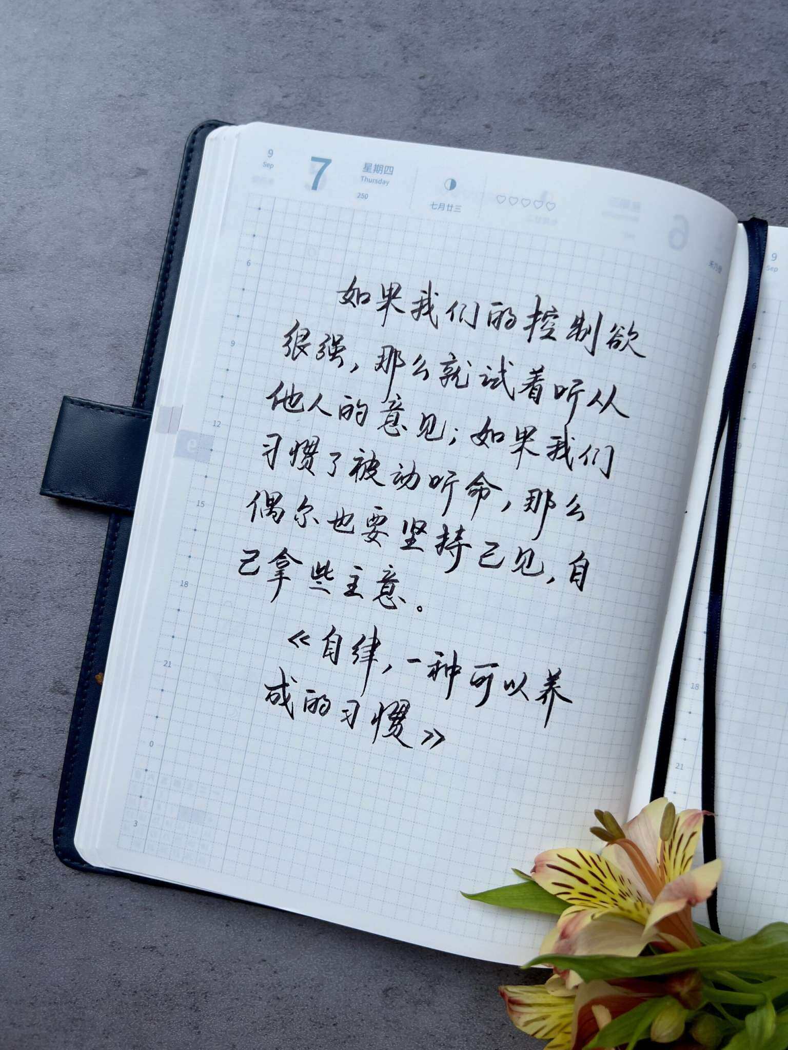 自在手帐2023年9月7日