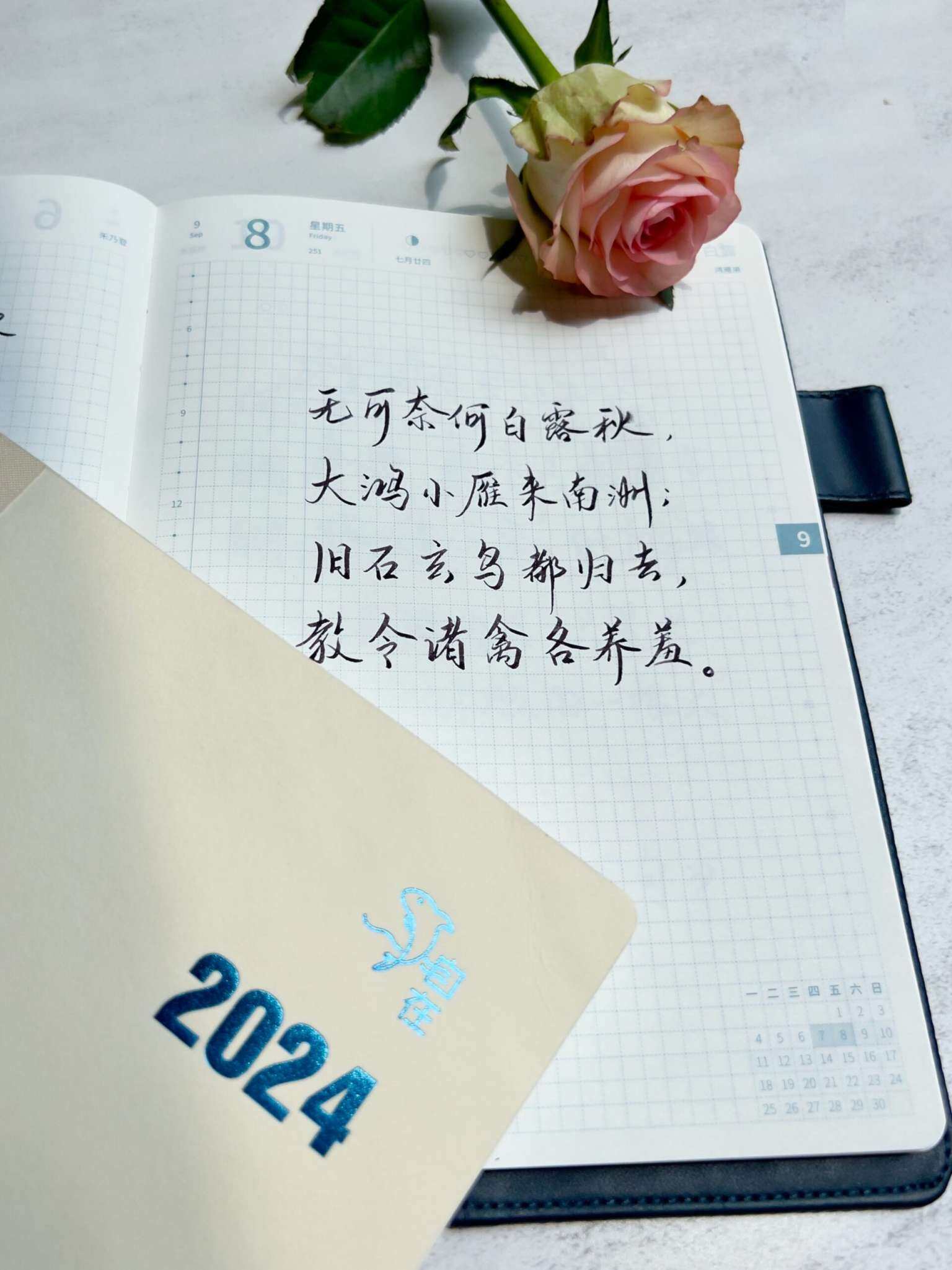 自在手帐2023年9月8日