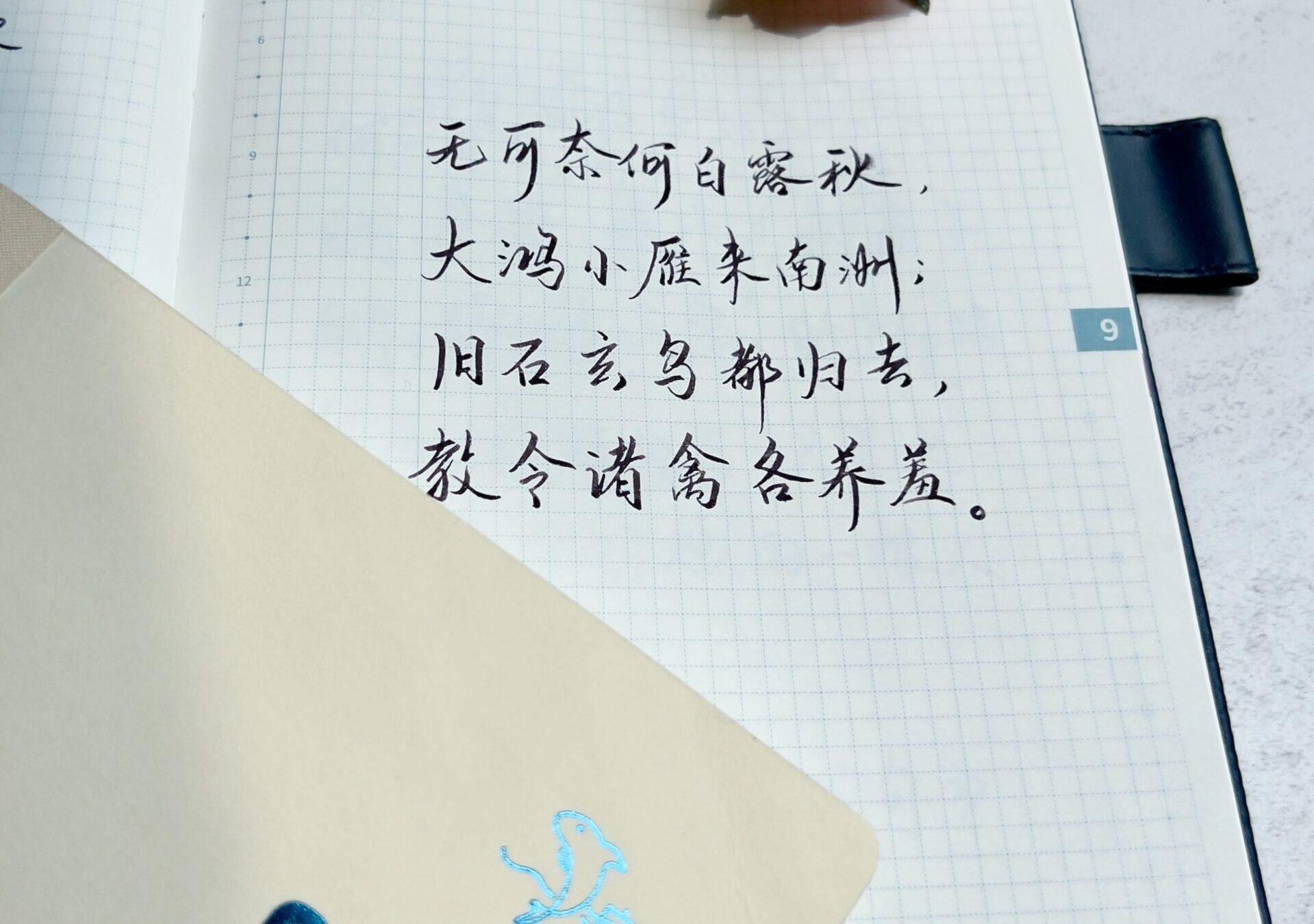 白露|二十四节气|癸卯年