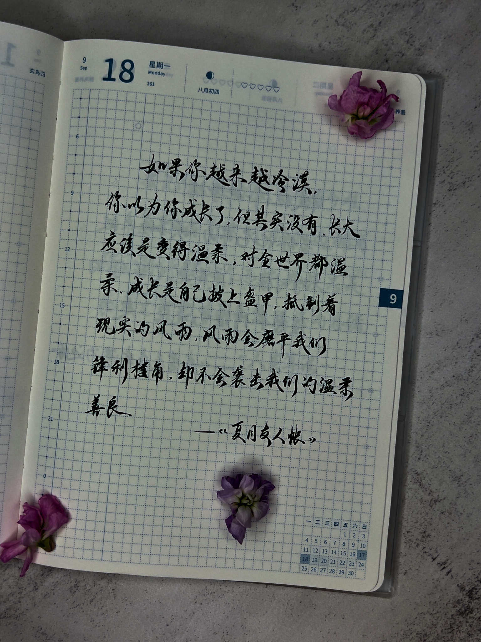 自在手帐2023年9月18日