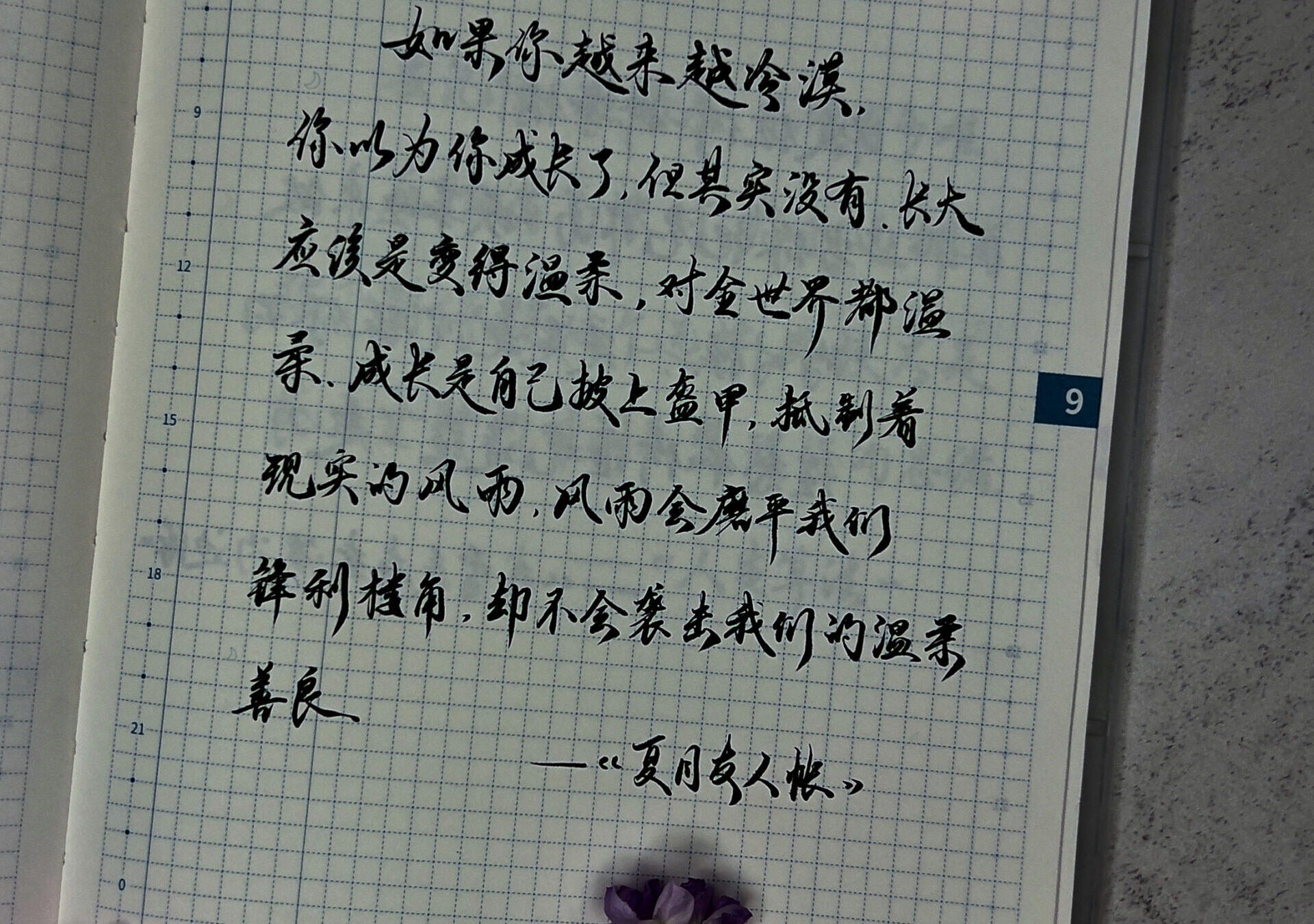 长大应该是变得温柔