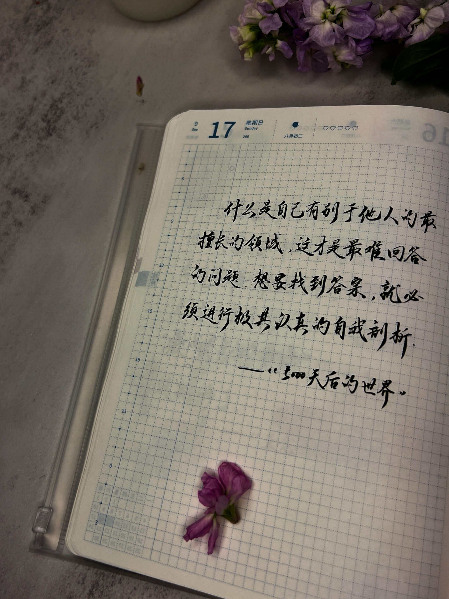 自在手帐2023年9月17日