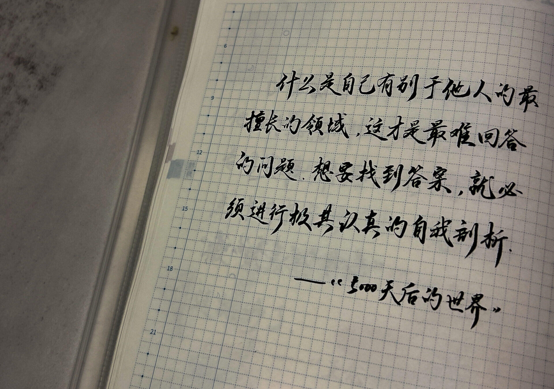 认真的自我剖析