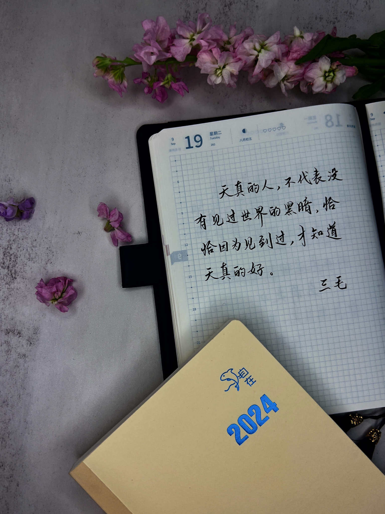 自在手帐2023年9月19日