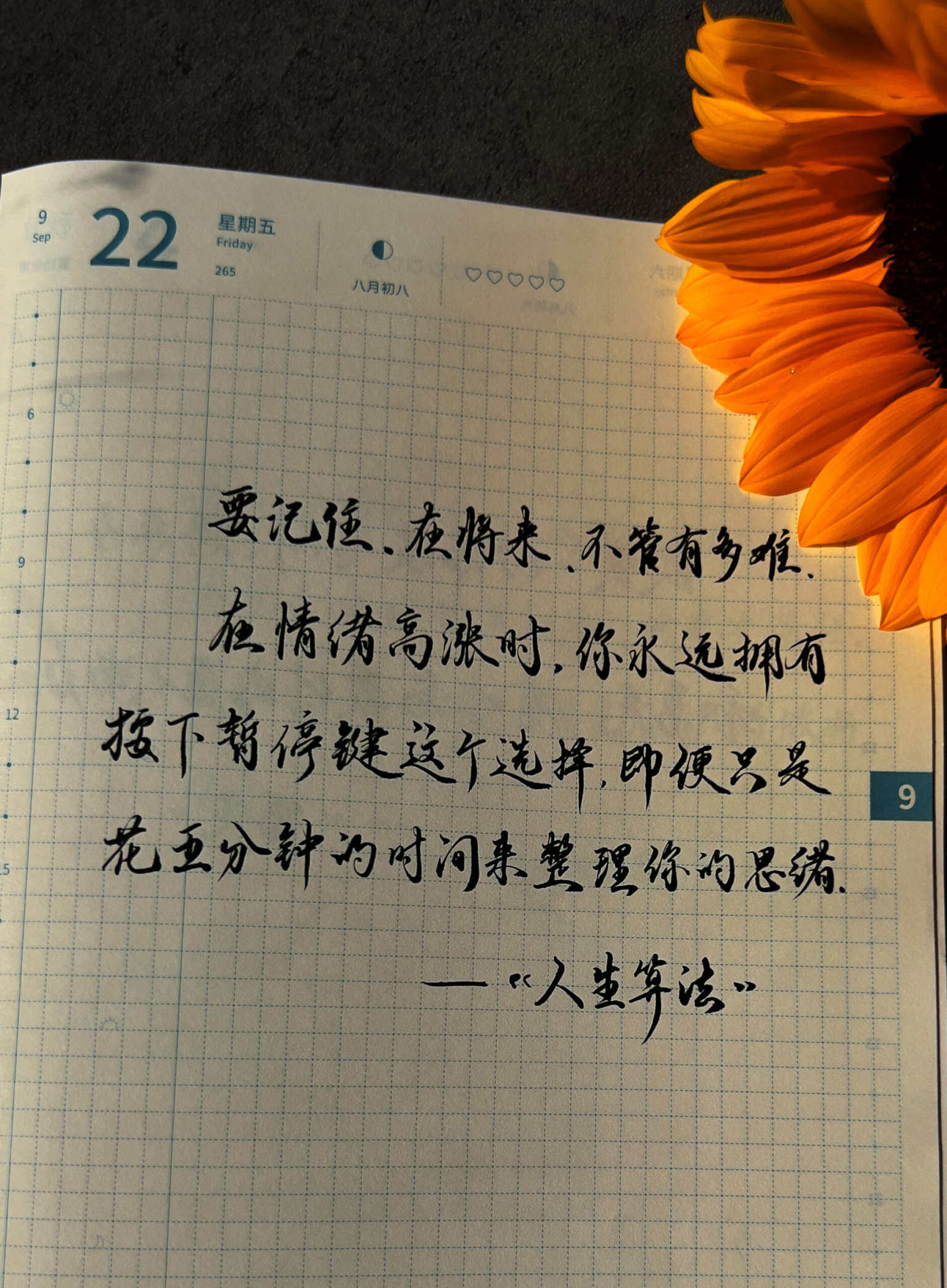 自在手帐2023年9月22日