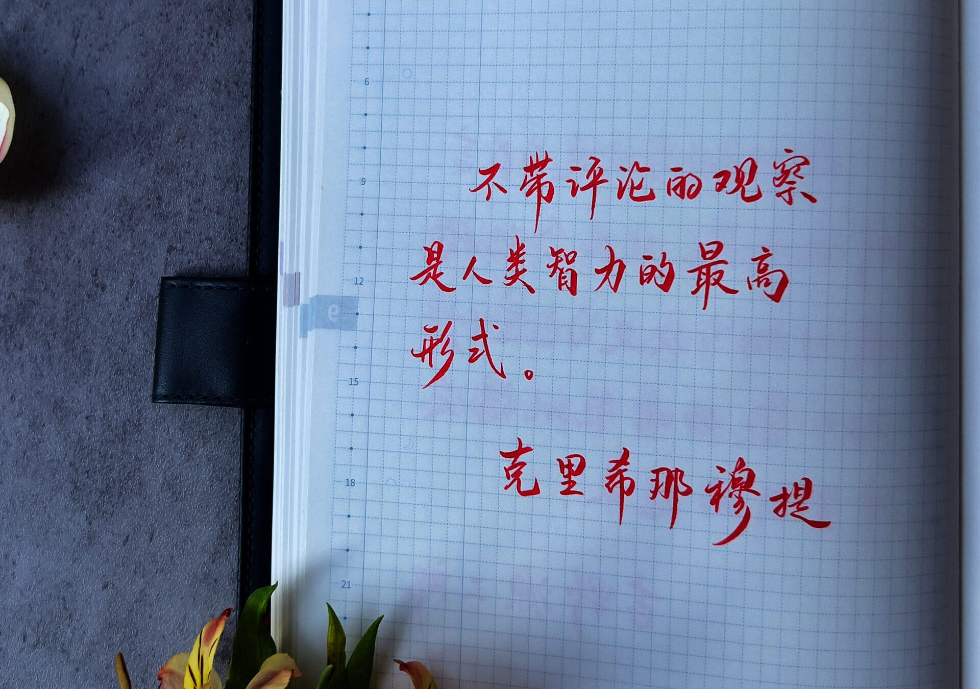 不带评论的观察