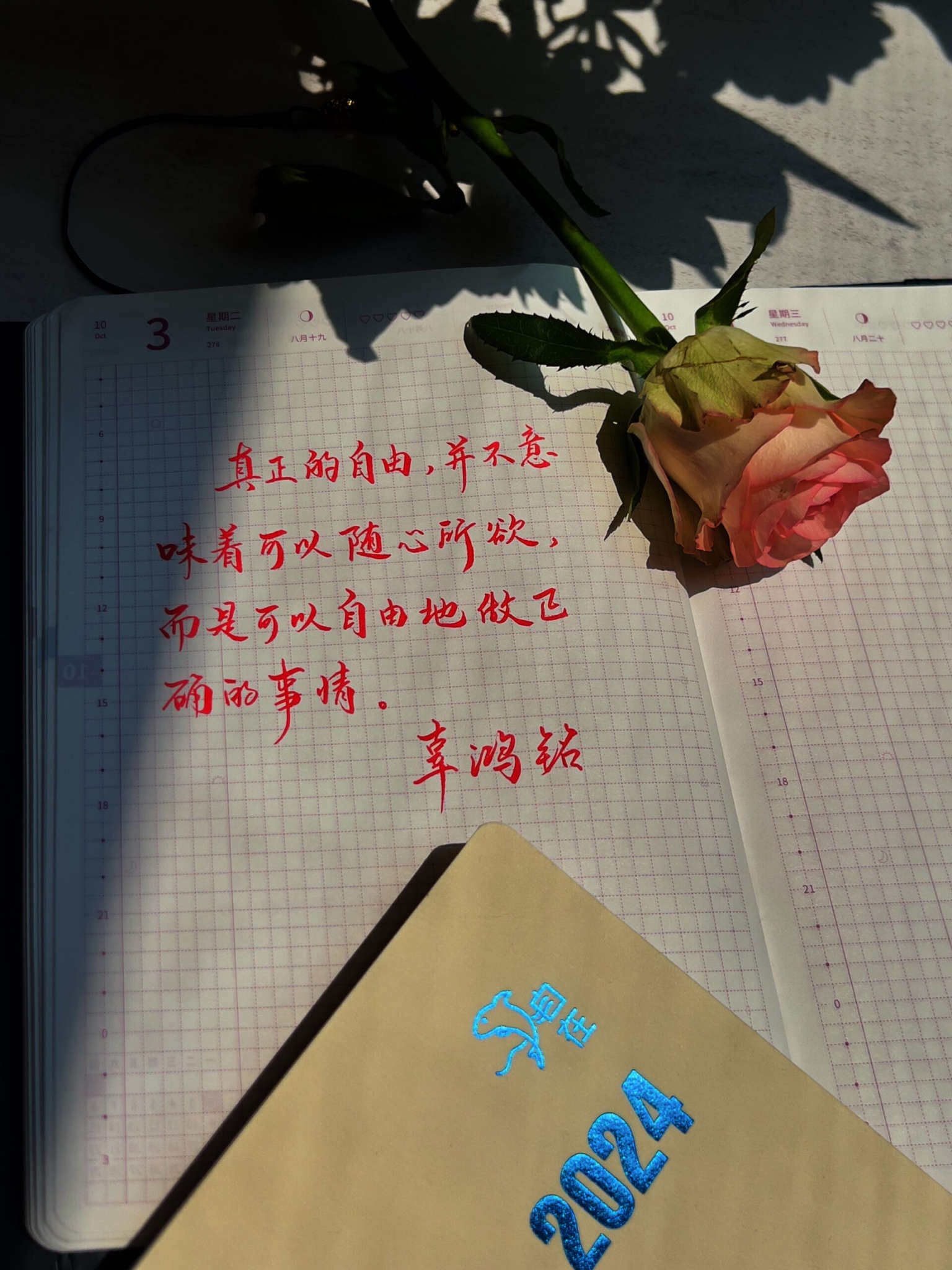 自在手帐2023年10月3日